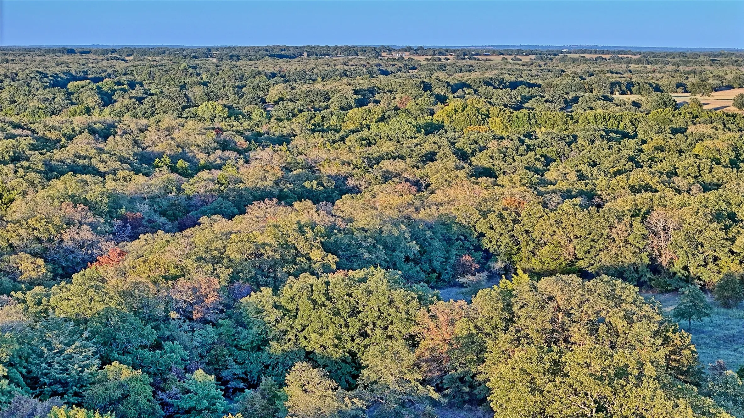 Ranch For Sale in Montague County , 2222 Carminati, Montague, Texas 76251, 0, 0, Garage spaces, 0 Sqft, built in 0, mls#21405549, Real Estate Agent in Montague, Homes For Sale in Montague county, Homes For Sale in Montague, Realtor in Montague Texas, Real Estate Brokerage Independent Realty Texas, Luminita Cordes Realtor