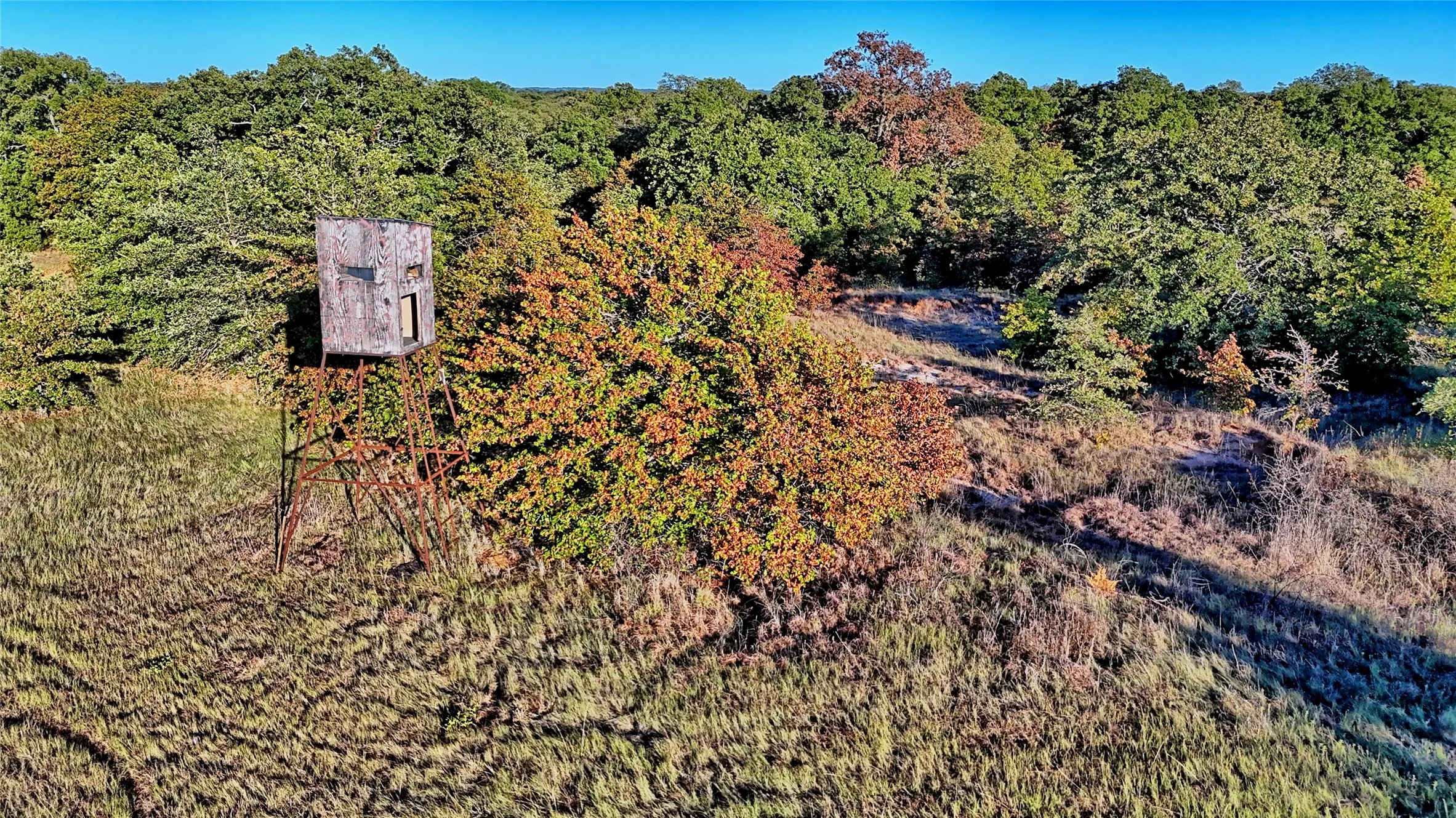 Ranch For Sale in Montague County , 2222 Carminati, Montague, Texas 76251, 0, 0, Garage spaces, 0 Sqft, built in 0, mls#21405549, Real Estate Agent in Montague, Homes For Sale in Montague county, Homes For Sale in Montague, Realtor in Montague Texas, Real Estate Brokerage Independent Realty Texas, Luminita Cordes Realtor
