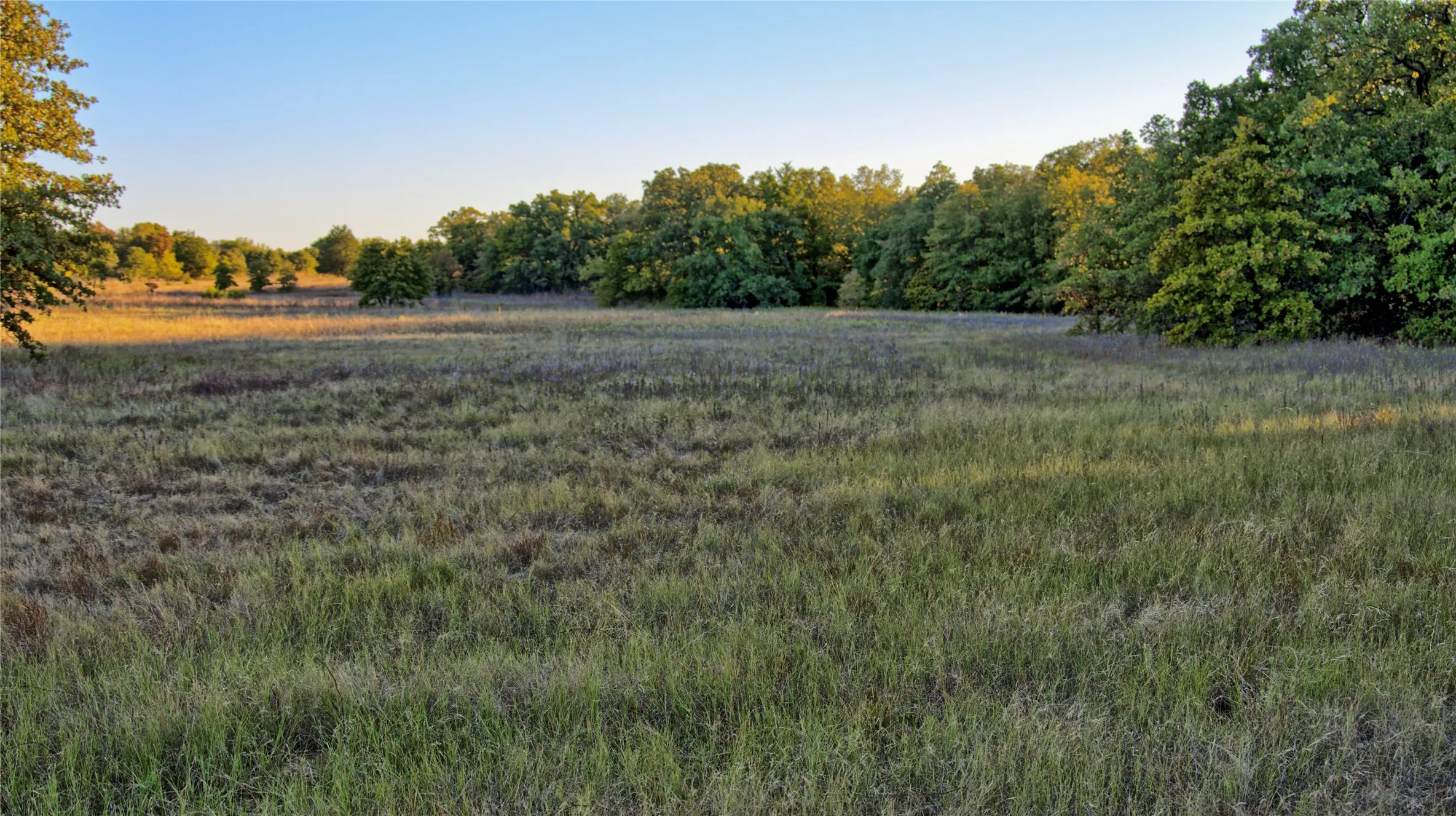Ranch For Sale in Montague County , 2222 Carminati, Montague, Texas 76251, 0, 0, Garage spaces, 0 Sqft, built in 0, mls#21405549, Real Estate Agent in Montague, Homes For Sale in Montague county, Homes For Sale in Montague, Realtor in Montague Texas, Real Estate Brokerage Independent Realty Texas, Luminita Cordes Realtor