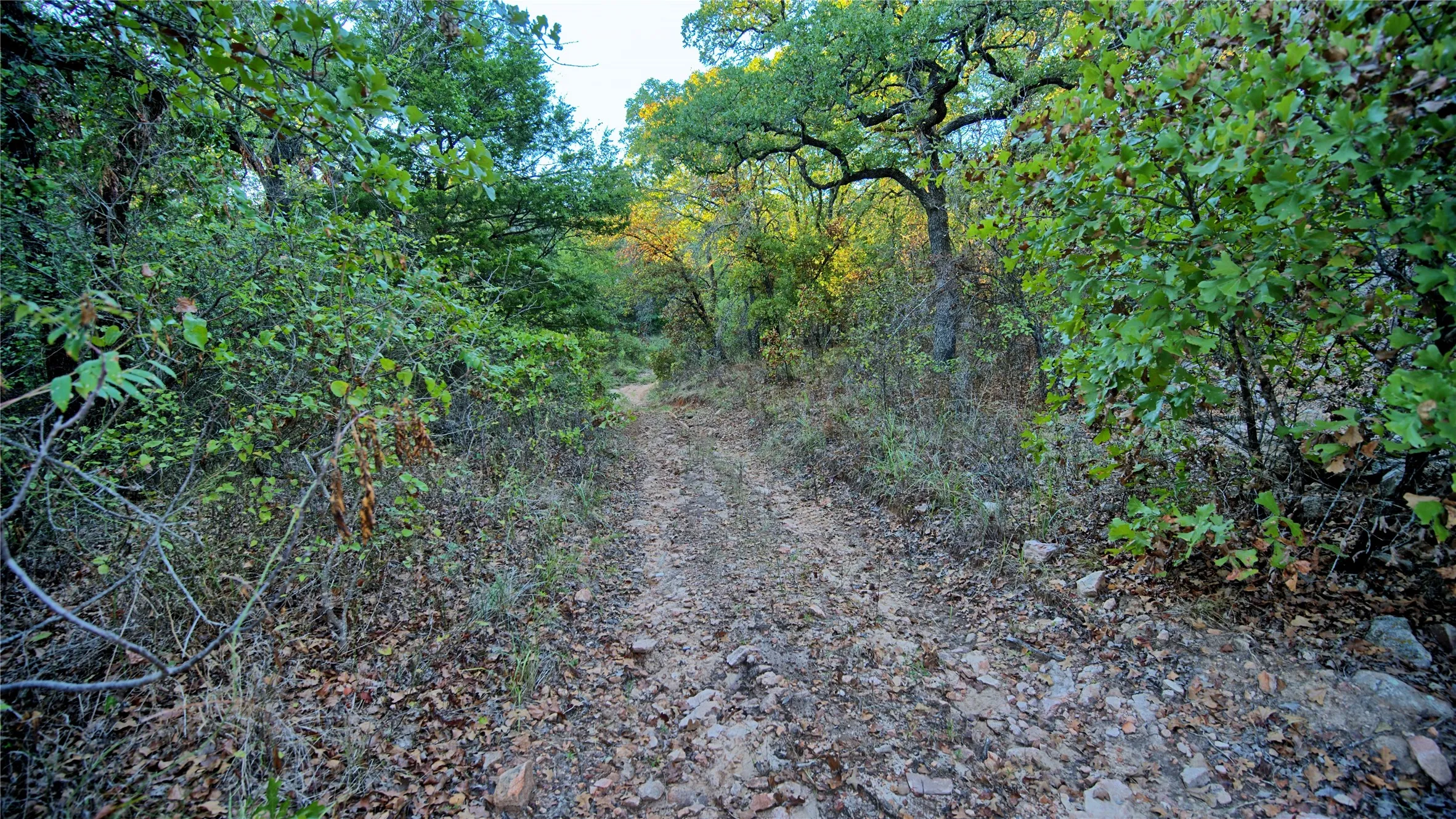Ranch For Sale in Montague County , 2222 Carminati, Montague, Texas 76251, 0, 0, Garage spaces, 0 Sqft, built in 0, mls#21405549, Real Estate Agent in Montague, Homes For Sale in Montague county, Homes For Sale in Montague, Realtor in Montague Texas, Real Estate Brokerage Independent Realty Texas, Luminita Cordes Realtor