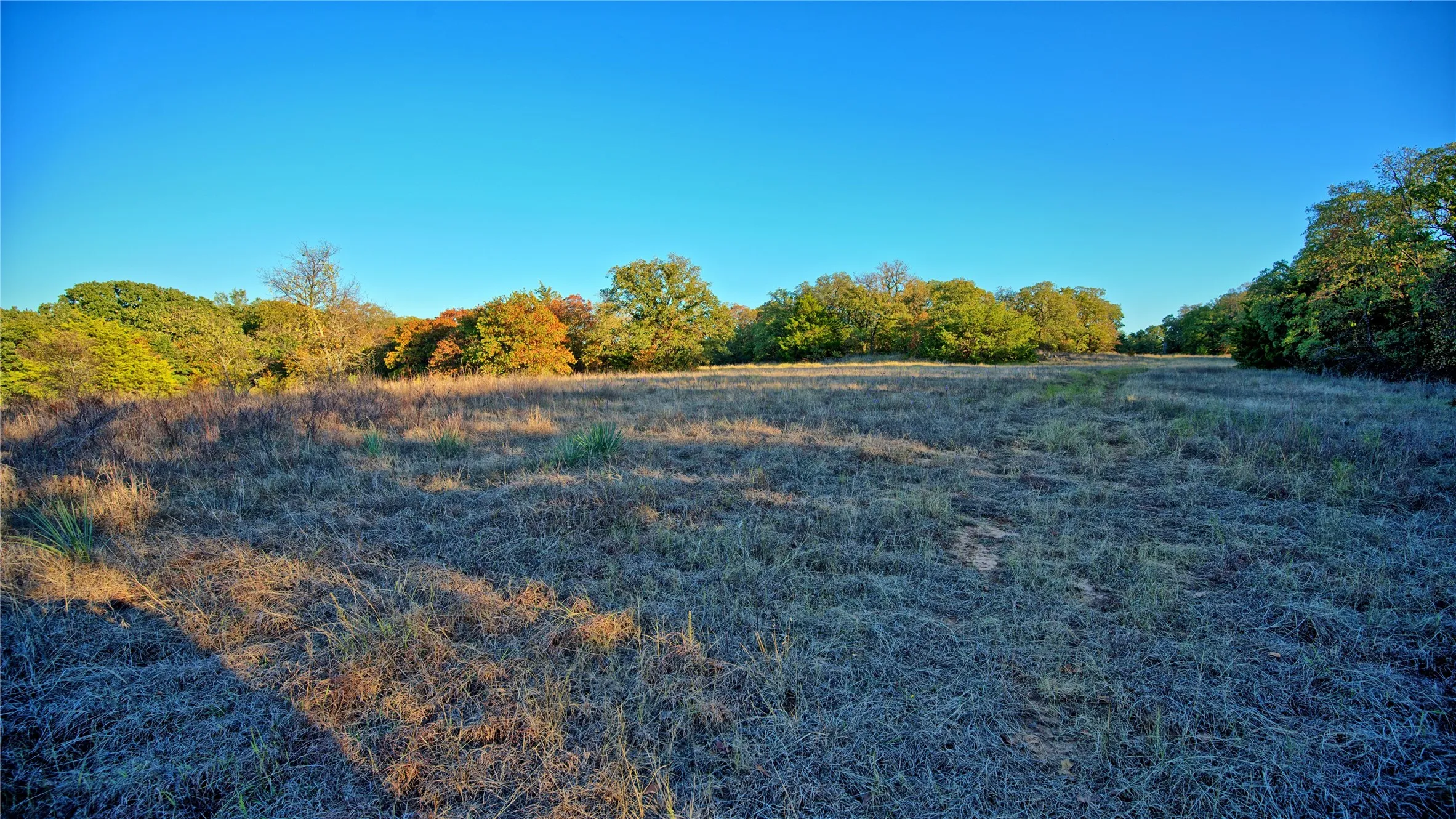 Ranch For Sale in Montague County , 2222 Carminati, Montague, Texas 76251, 0, 0, Garage spaces, 0 Sqft, built in 0, mls#21405549, Real Estate Agent in Montague, Homes For Sale in Montague county, Homes For Sale in Montague, Realtor in Montague Texas, Real Estate Brokerage Independent Realty Texas, Luminita Cordes Realtor