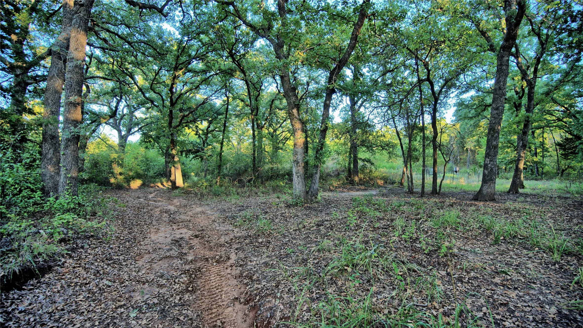 Ranch For Sale in Montague County , 2222 Carminati, Montague, Texas 76251, 0, 0, Garage spaces, 0 Sqft, built in 0, mls#21405549, Real Estate Agent in Montague, Homes For Sale in Montague county, Homes For Sale in Montague, Realtor in Montague Texas, Real Estate Brokerage Independent Realty Texas, Luminita Cordes Realtor