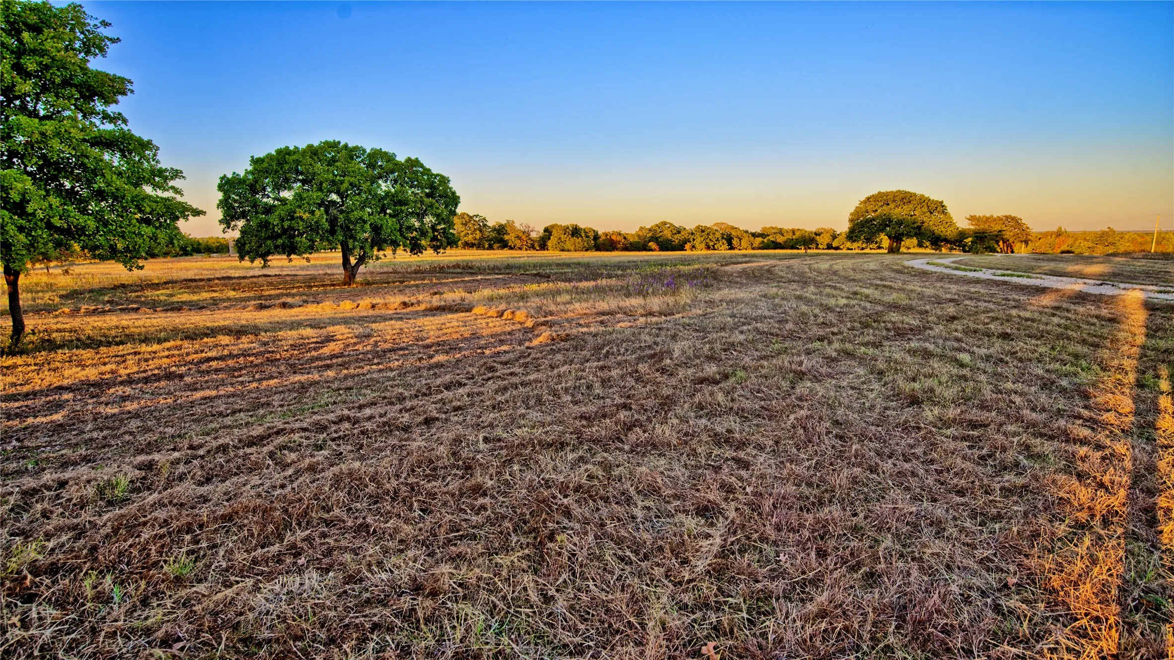 Ranch For Sale in Montague County , 2222 Carminati, Montague, Texas 76251, 0, 0, Garage spaces, 0 Sqft, built in 0, mls#21405549, Real Estate Agent in Montague, Homes For Sale in Montague county, Homes For Sale in Montague, Realtor in Montague Texas, Real Estate Brokerage Independent Realty Texas, Luminita Cordes Realtor