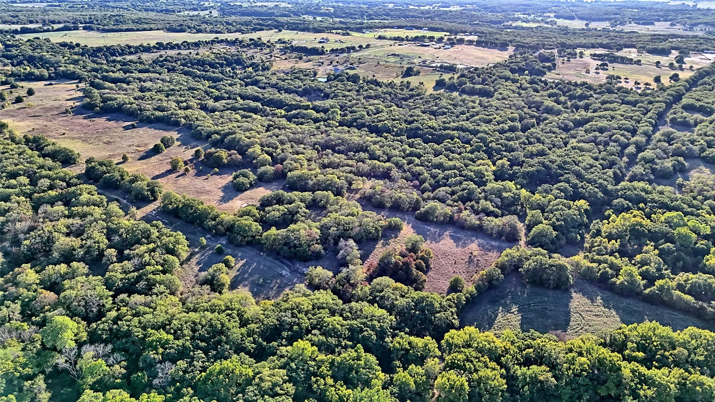Ranch For Sale in Montague County , 2222 Carminati, Montague, Texas 76251, 0, 0, Garage spaces, 0 Sqft, built in 0, mls#21405549, Real Estate Agent in Montague, Homes For Sale in Montague county, Homes For Sale in Montague, Realtor in Montague Texas, Real Estate Brokerage Independent Realty Texas, Luminita Cordes Realtor