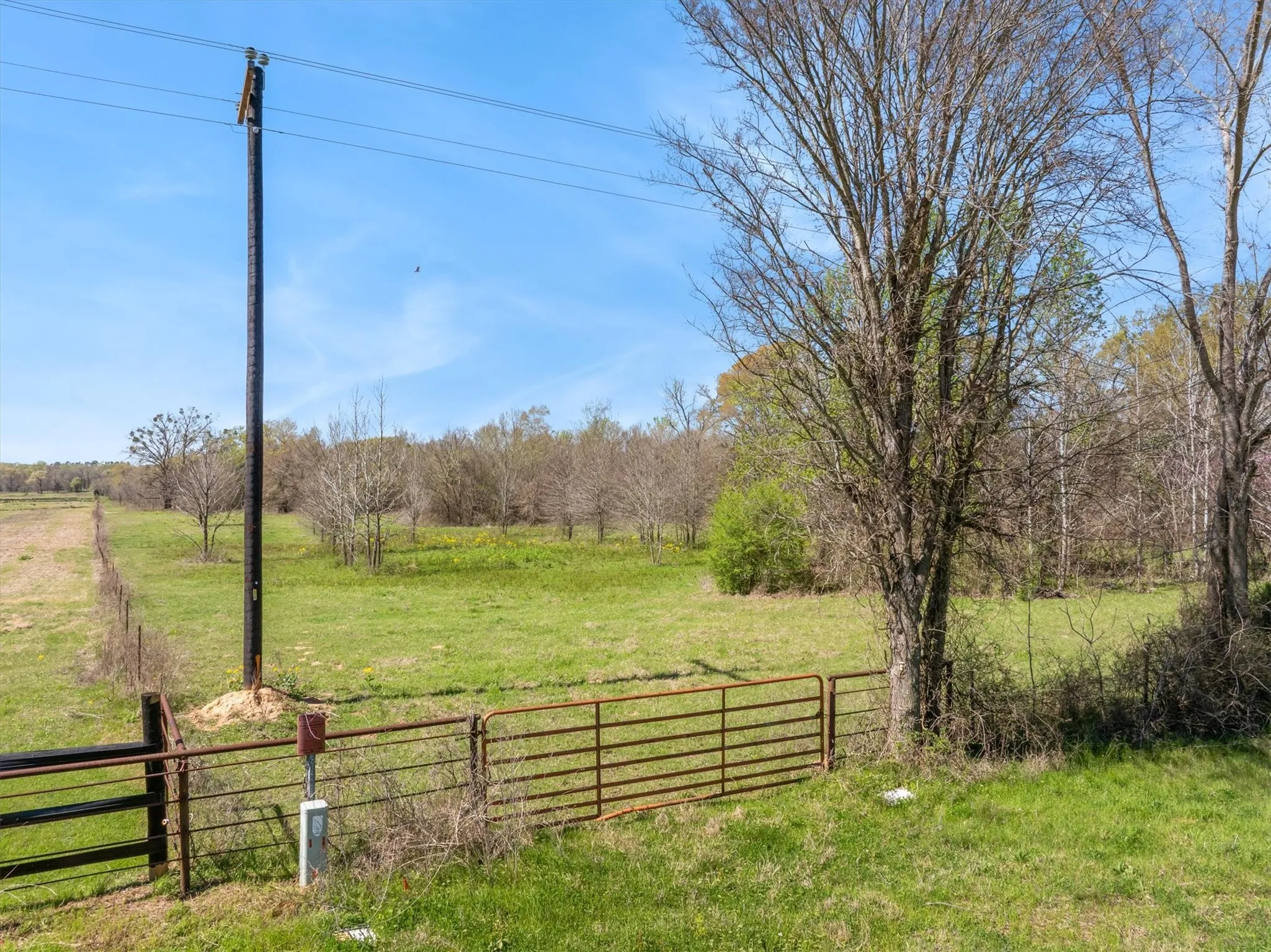 Unimproved Land For Sale in Van Zandt County , 000 Fm 2909, Canton, Texas 75103, 0, 0, Garage spaces, 0 Sqft, built in 0, mls#21406781, Real Estate Agent in Canton, Homes For Sale in Van Zandt county, Homes For Sale in Canton, Realtor in Canton Texas, Real Estate Brokerage Independent Realty Texas, Luminita Cordes Realtor