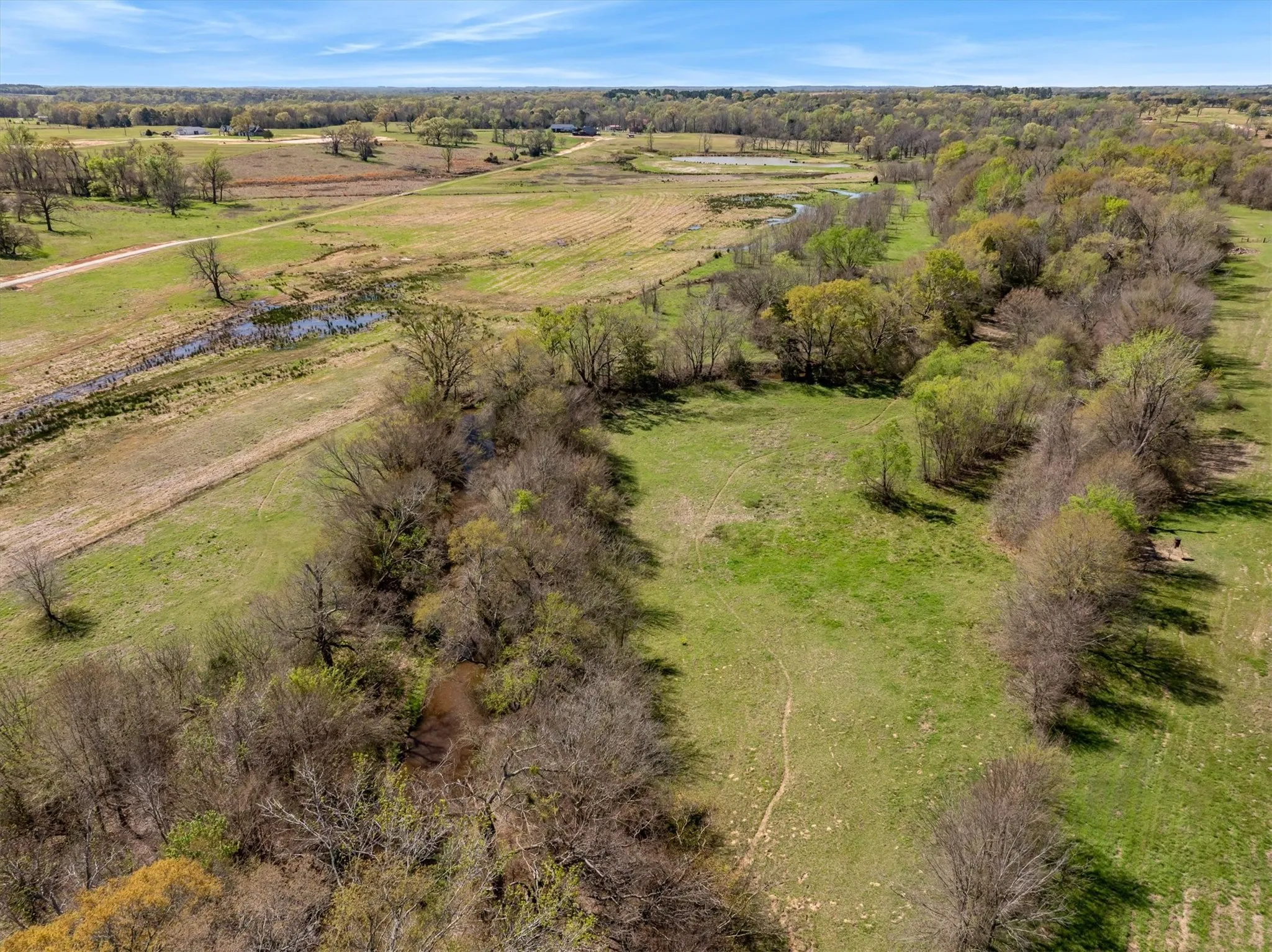 Unimproved Land For Sale in Van Zandt County , 000 Fm 2909, Canton, Texas 75103, 0, 0, Garage spaces, 0 Sqft, built in 0, mls#21406781, Real Estate Agent in Canton, Homes For Sale in Van Zandt county, Homes For Sale in Canton, Realtor in Canton Texas, Real Estate Brokerage Independent Realty Texas, Luminita Cordes Realtor