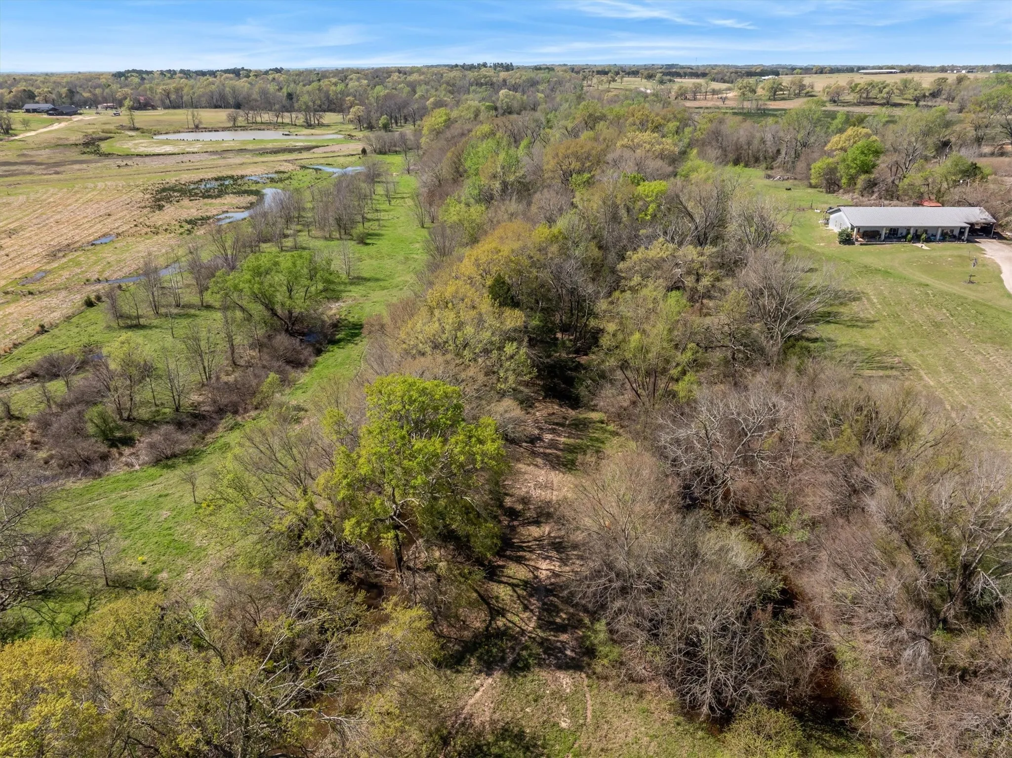 Unimproved Land For Sale in Van Zandt County , 000 Fm 2909, Canton, Texas 75103, 0, 0, Garage spaces, 0 Sqft, built in 0, mls#21406781, Real Estate Agent in Canton, Homes For Sale in Van Zandt county, Homes For Sale in Canton, Realtor in Canton Texas, Real Estate Brokerage Independent Realty Texas, Luminita Cordes Realtor