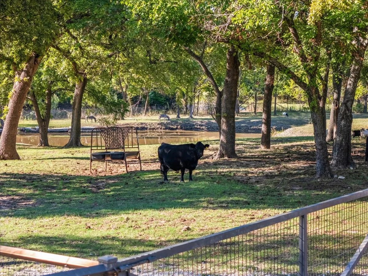 Farm For Sale in Parker County , 2405 Cold Springs Road, Weatherford, Texas 76088, 2 Bedroom, 3 Bathroom, 4 Garage spaces, 2,418 Sqft, built in 2008, mls#21406181, Real Estate Agent in Weatherford, Homes For Sale in Parker county, Homes For Sale in Weatherford, Realtor in Weatherford Texas, Real Estate Brokerage Independent Realty Texas, Luminita Cordes Realtor