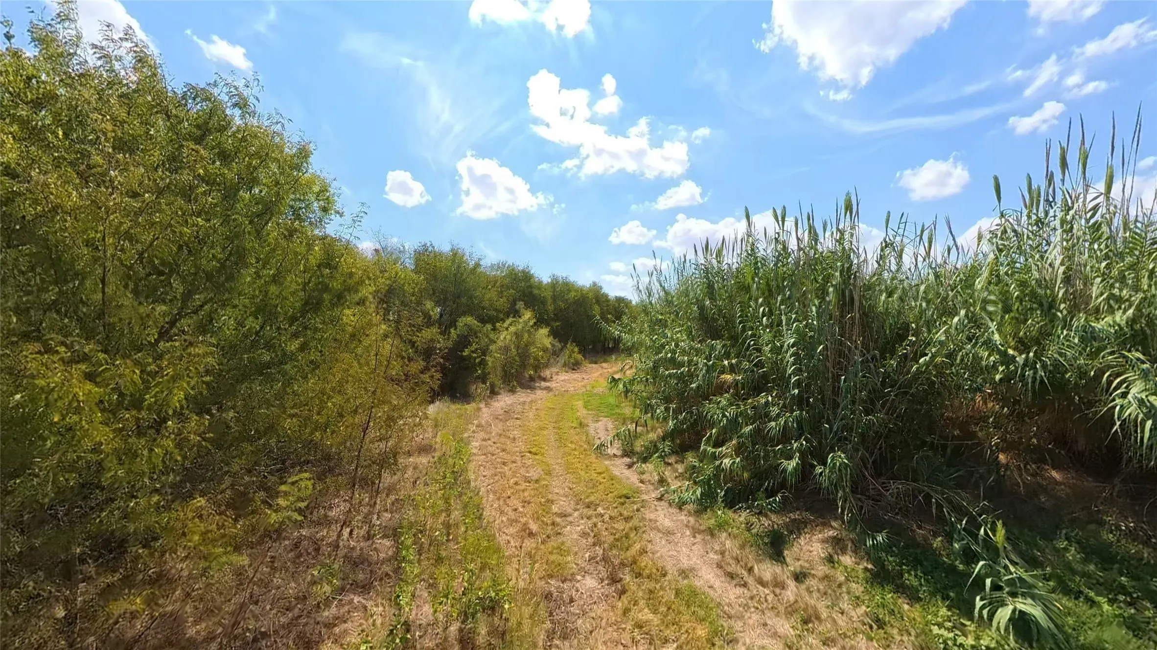 Ranch For Sale in Hill County , 2217 Hcr-4281, Itasca, Texas 76055, 0, 0, Garage spaces, 0 Sqft, built in 0, mls#21406808, Real Estate Agent in Itasca, Homes For Sale in Hill county, Homes For Sale in Itasca, Realtor in Itasca Texas, Real Estate Brokerage Independent Realty Texas, Luminita Cordes Realtor