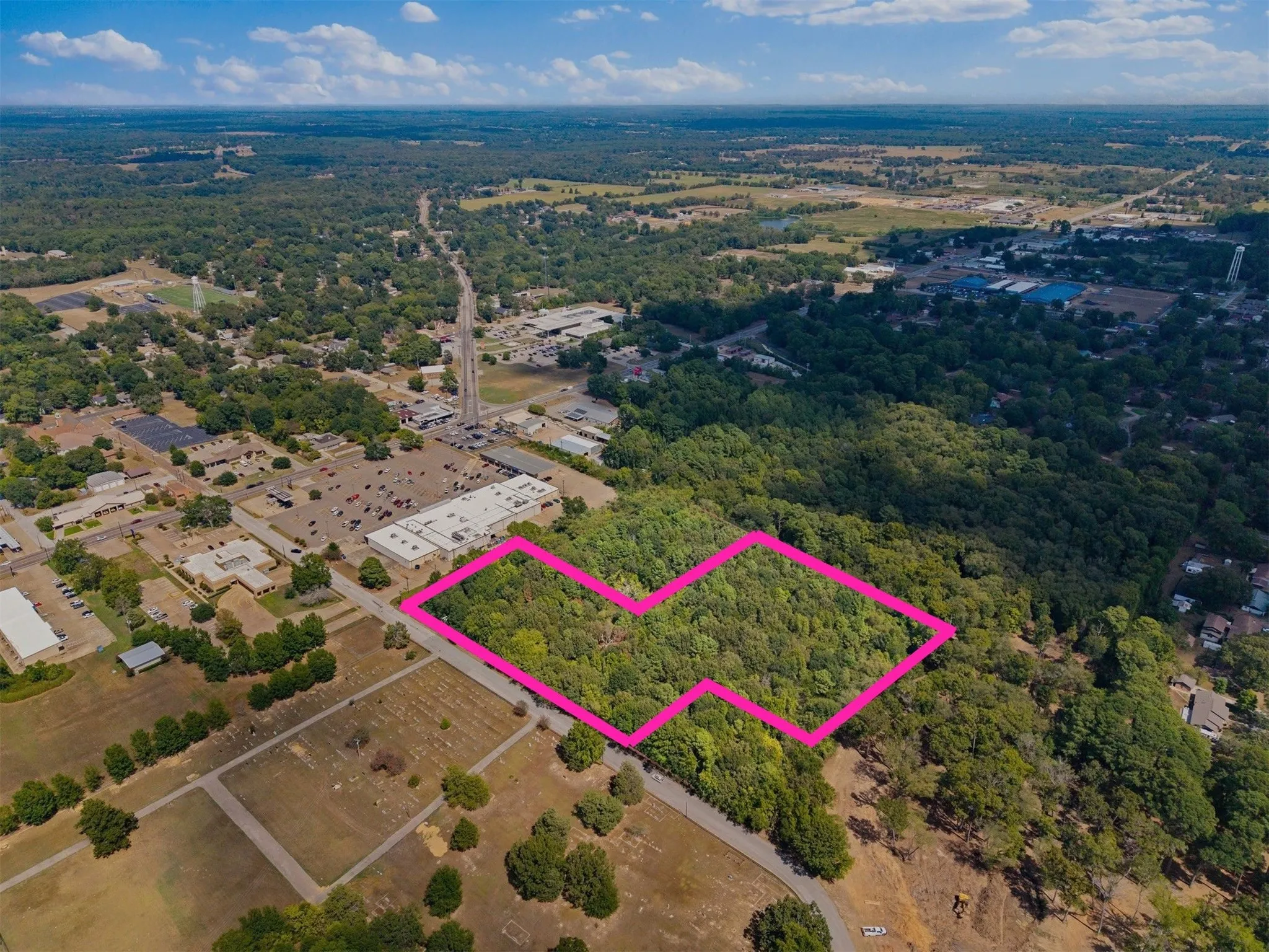 Expansive wooded lot with varied tree cover