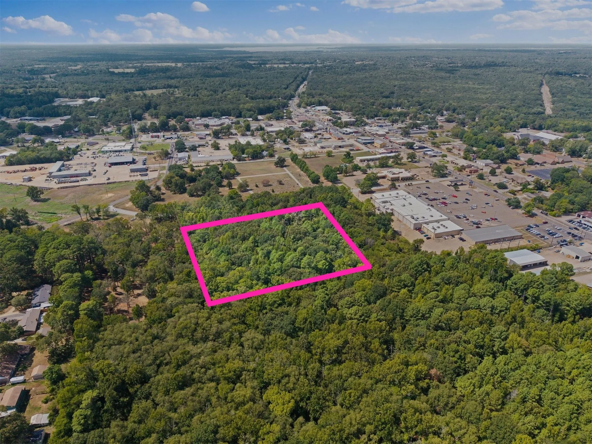 Wooded lot within a developed area