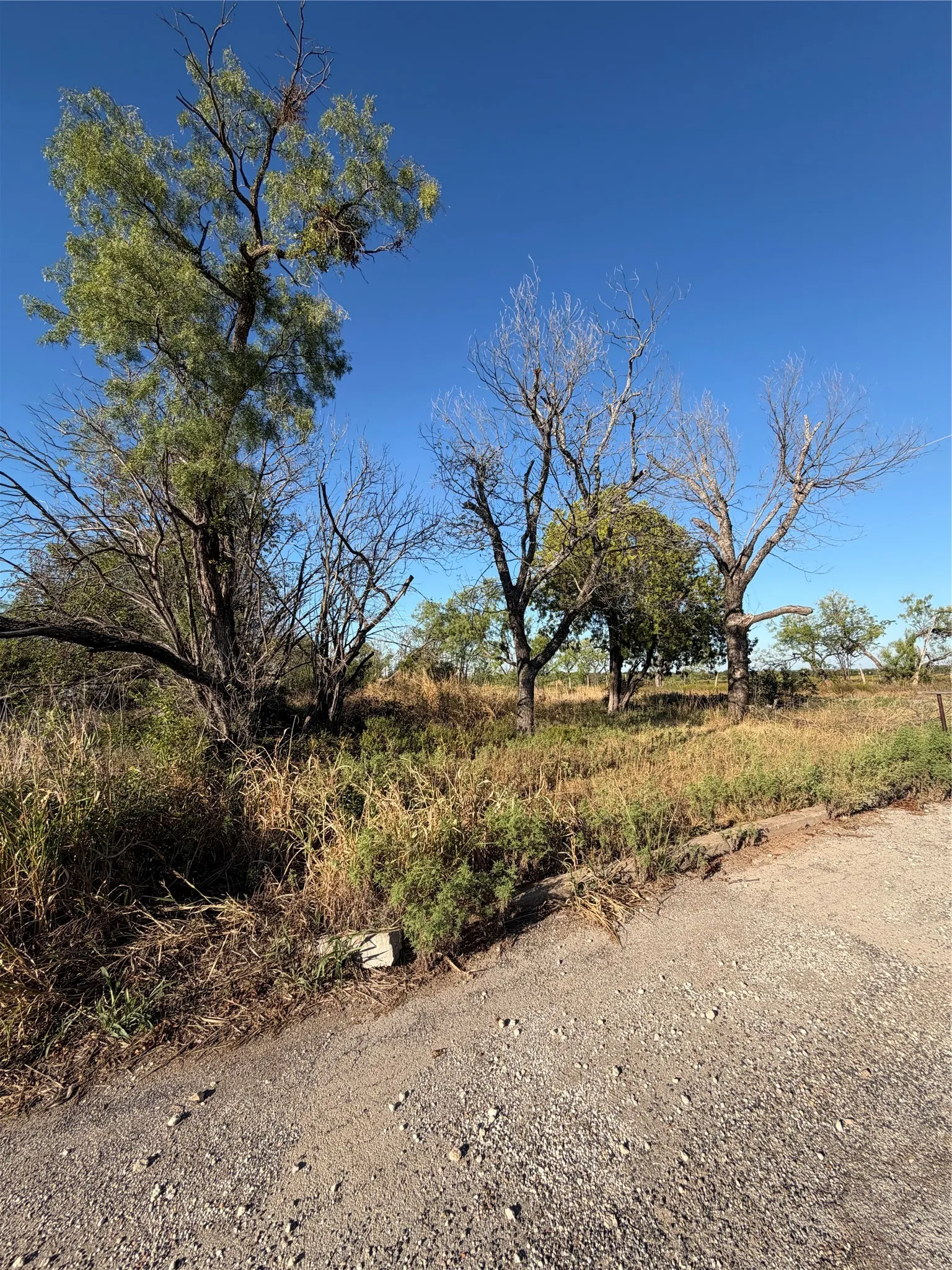 Improved Land For Sale in Coleman County , 815 E 5th Street, Coleman, Texas 76834, 0, 0, Garage spaces, 0 Sqft, built in 0, mls#21405797, Real Estate Agent in Coleman, Homes For Sale in Coleman county, Homes For Sale in Coleman, Realtor in Coleman Texas, Real Estate Brokerage Independent Realty Texas, Luminita Cordes Realtor