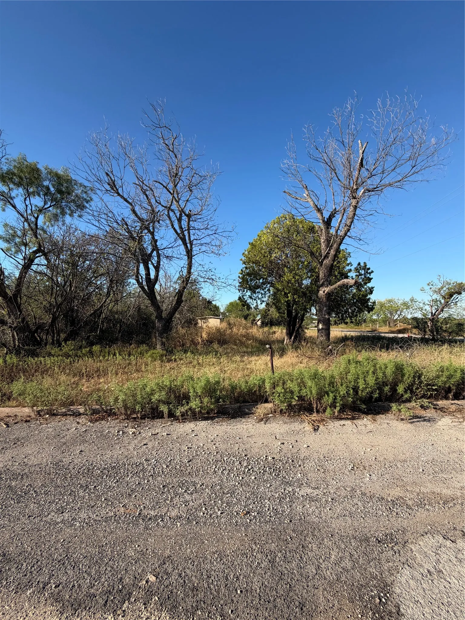 Improved Land For Sale in Coleman County , 815 E 5th Street, Coleman, Texas 76834, 0, 0, Garage spaces, 0 Sqft, built in 0, mls#21405797, Real Estate Agent in Coleman, Homes For Sale in Coleman county, Homes For Sale in Coleman, Realtor in Coleman Texas, Real Estate Brokerage Independent Realty Texas, Luminita Cordes Realtor