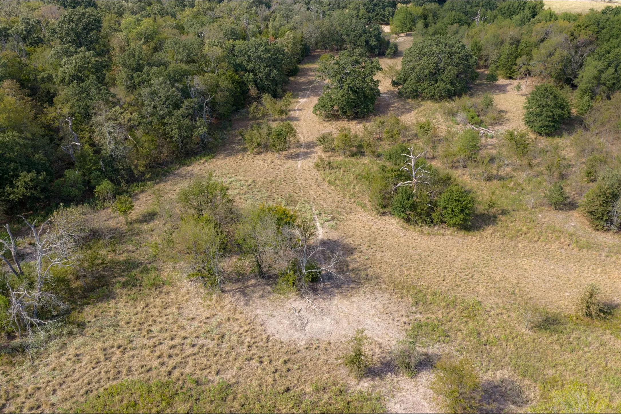 Unimproved Land For Sale in Van Zandt County , NW VZ County Road 3409, Wills Point, Texas 75169, 0, 0, Garage spaces, 0 Sqft, built in 0, mls#21406803, Real Estate Agent in Wills Point, Homes For Sale in Van Zandt county, Homes For Sale in Wills Point, Realtor in Wills Point Texas, Real Estate Brokerage Independent Realty Texas, Luminita Cordes Realtor