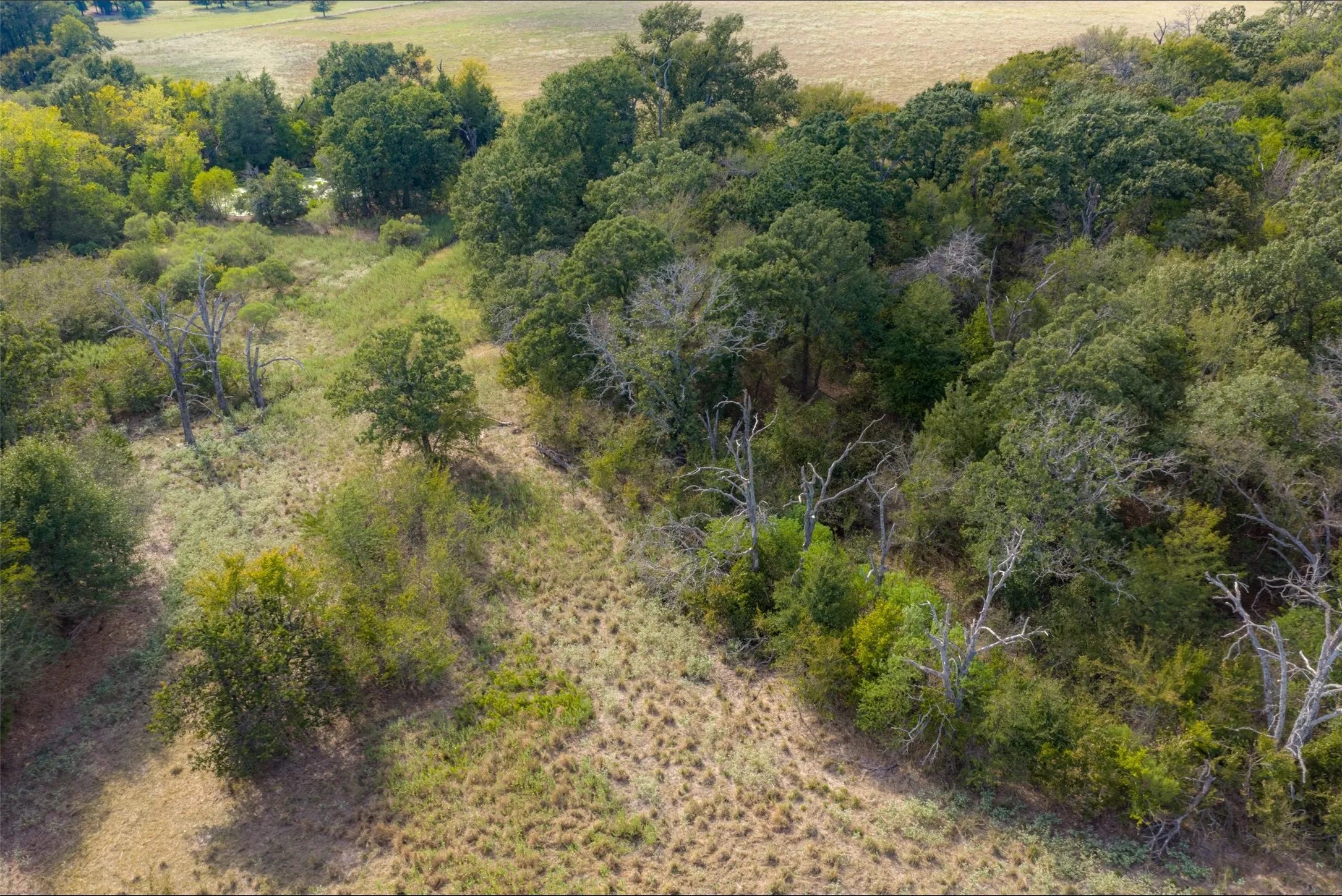 Unimproved Land For Sale in Van Zandt County , NW VZ County Road 3409, Wills Point, Texas 75169, 0, 0, Garage spaces, 0 Sqft, built in 0, mls#21406803, Real Estate Agent in Wills Point, Homes For Sale in Van Zandt county, Homes For Sale in Wills Point, Realtor in Wills Point Texas, Real Estate Brokerage Independent Realty Texas, Luminita Cordes Realtor