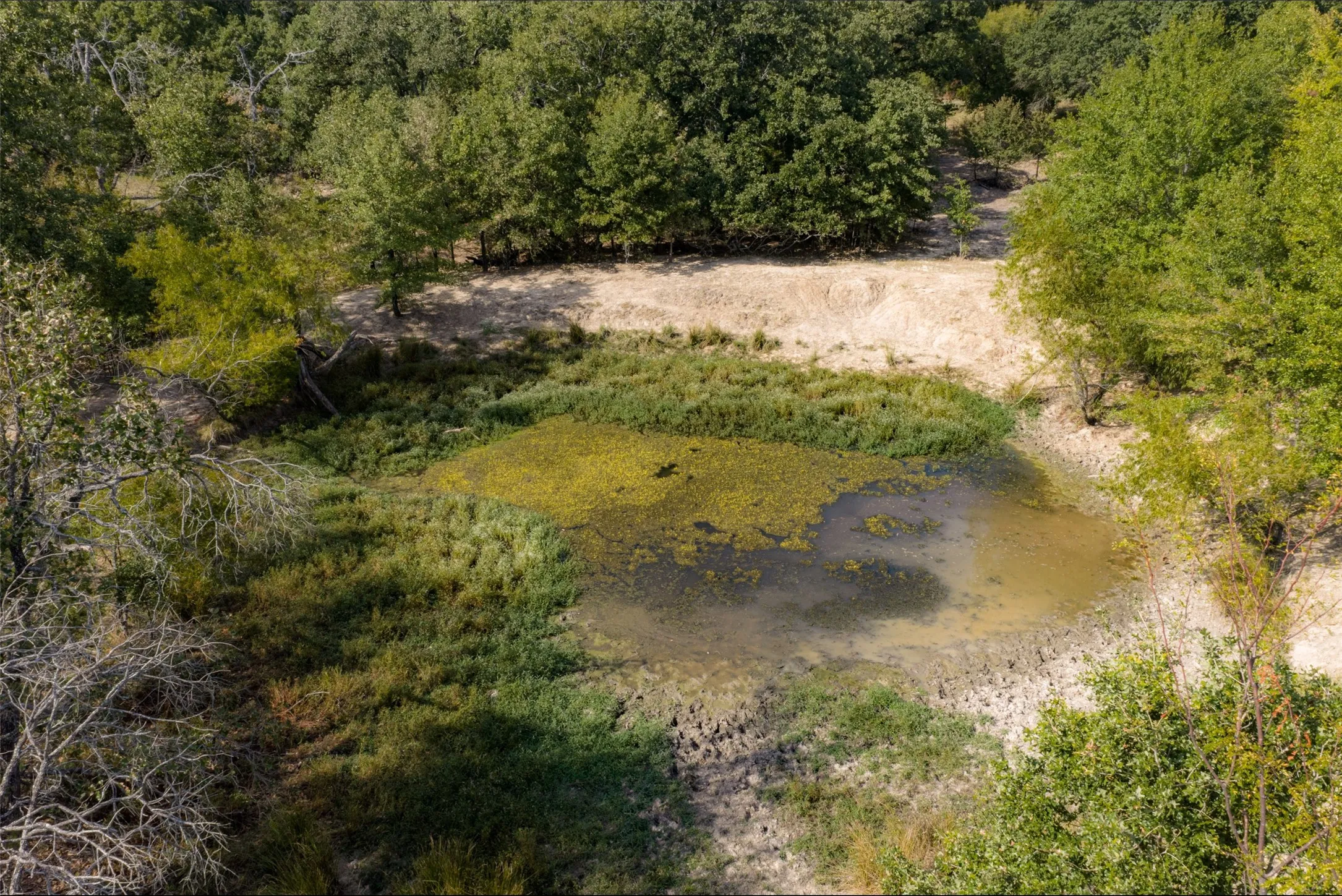 Unimproved Land For Sale in Van Zandt County , NW VZ County Road 3409, Wills Point, Texas 75169, 0, 0, Garage spaces, 0 Sqft, built in 0, mls#21406803, Real Estate Agent in Wills Point, Homes For Sale in Van Zandt county, Homes For Sale in Wills Point, Realtor in Wills Point Texas, Real Estate Brokerage Independent Realty Texas, Luminita Cordes Realtor