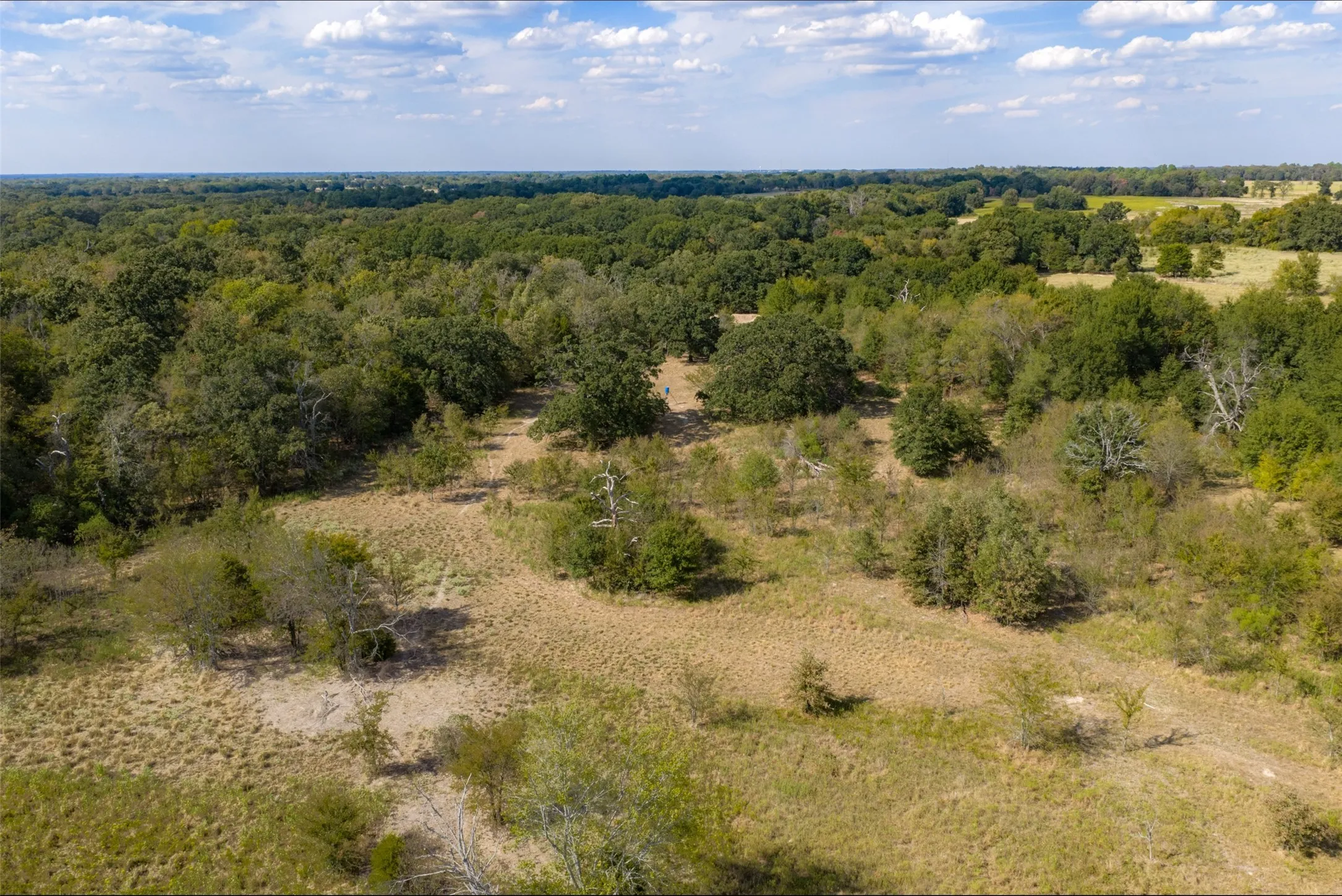 Unimproved Land For Sale in Van Zandt County , NW VZ County Road 3409, Wills Point, Texas 75169, 0, 0, Garage spaces, 0 Sqft, built in 0, mls#21406803, Real Estate Agent in Wills Point, Homes For Sale in Van Zandt county, Homes For Sale in Wills Point, Realtor in Wills Point Texas, Real Estate Brokerage Independent Realty Texas, Luminita Cordes Realtor