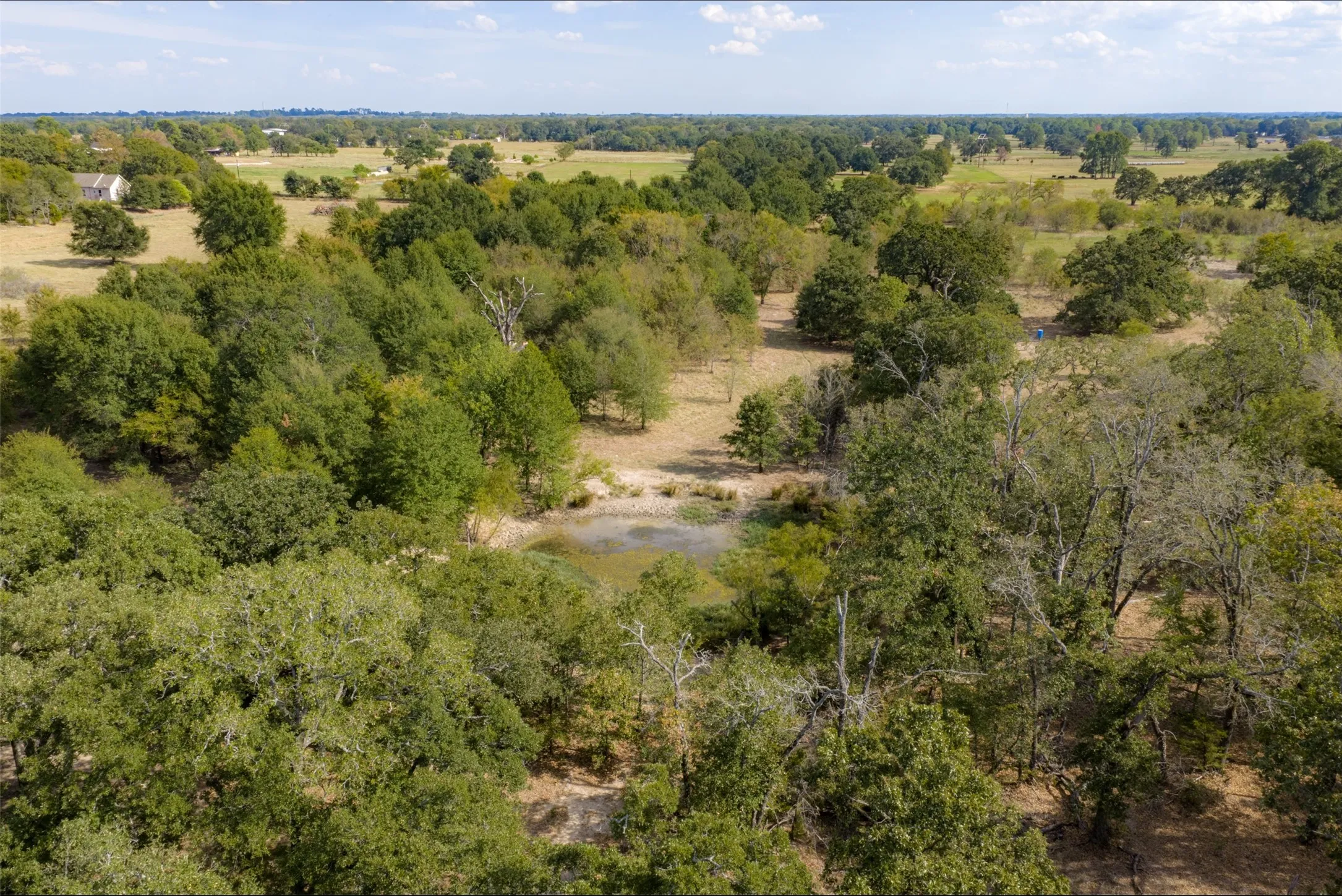 Unimproved Land For Sale in Van Zandt County , NW VZ County Road 3409, Wills Point, Texas 75169, 0, 0, Garage spaces, 0 Sqft, built in 0, mls#21406803, Real Estate Agent in Wills Point, Homes For Sale in Van Zandt county, Homes For Sale in Wills Point, Realtor in Wills Point Texas, Real Estate Brokerage Independent Realty Texas, Luminita Cordes Realtor