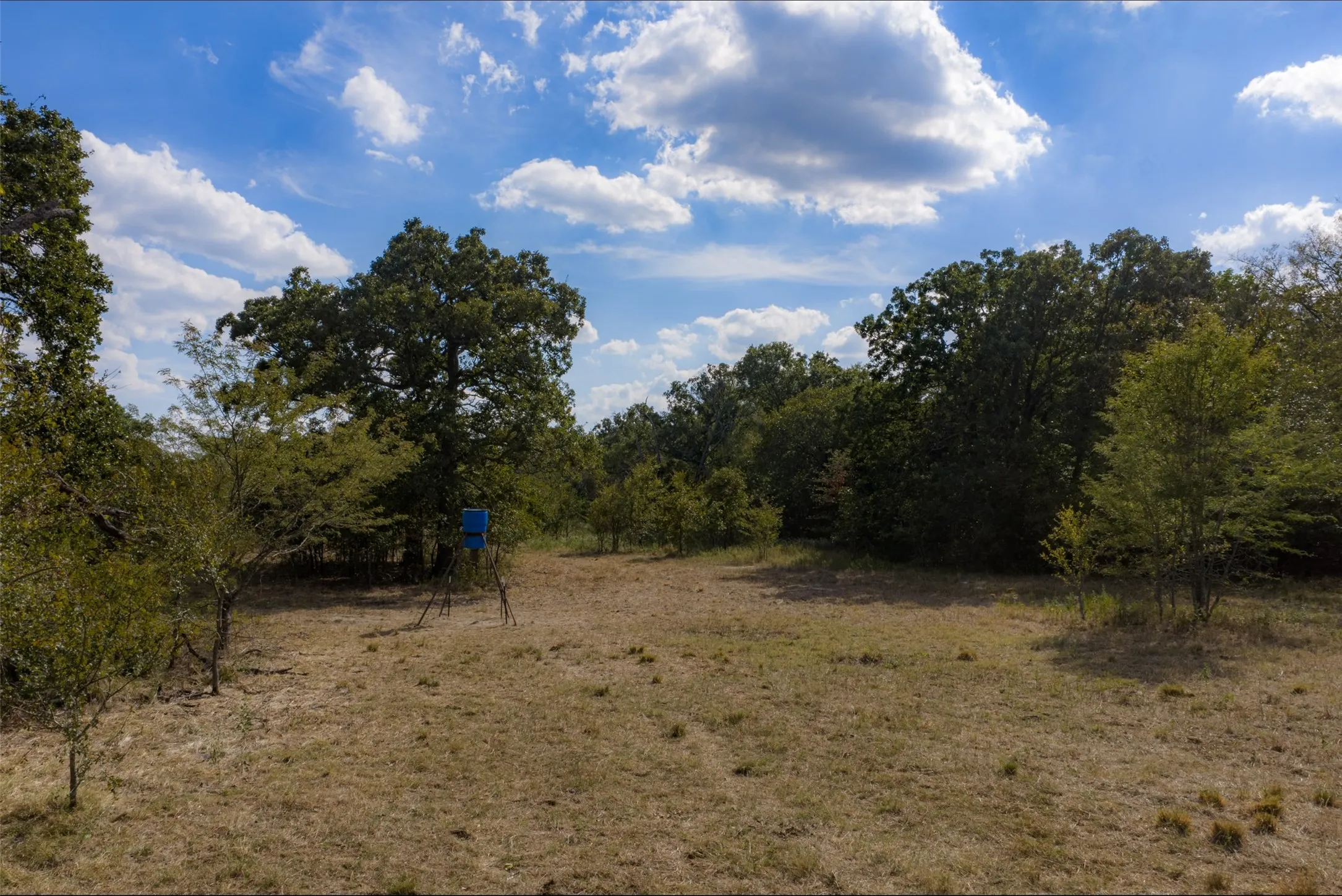 Unimproved Land For Sale in Van Zandt County , NW VZ County Road 3409, Wills Point, Texas 75169, 0, 0, Garage spaces, 0 Sqft, built in 0, mls#21406803, Real Estate Agent in Wills Point, Homes For Sale in Van Zandt county, Homes For Sale in Wills Point, Realtor in Wills Point Texas, Real Estate Brokerage Independent Realty Texas, Luminita Cordes Realtor