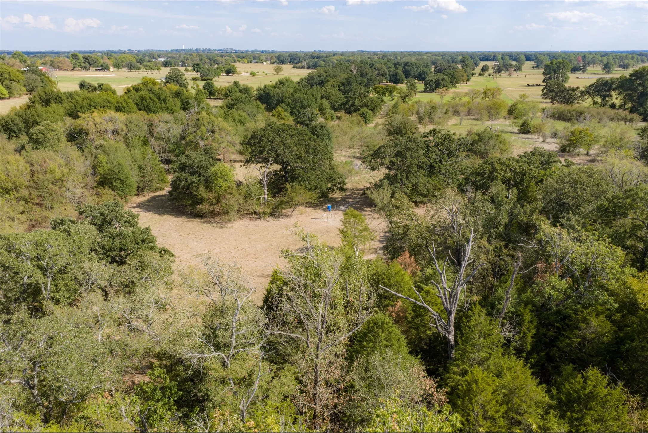 Unimproved Land For Sale in Van Zandt County , NW VZ County Road 3409, Wills Point, Texas 75169, 0, 0, Garage spaces, 0 Sqft, built in 0, mls#21406803, Real Estate Agent in Wills Point, Homes For Sale in Van Zandt county, Homes For Sale in Wills Point, Realtor in Wills Point Texas, Real Estate Brokerage Independent Realty Texas, Luminita Cordes Realtor
