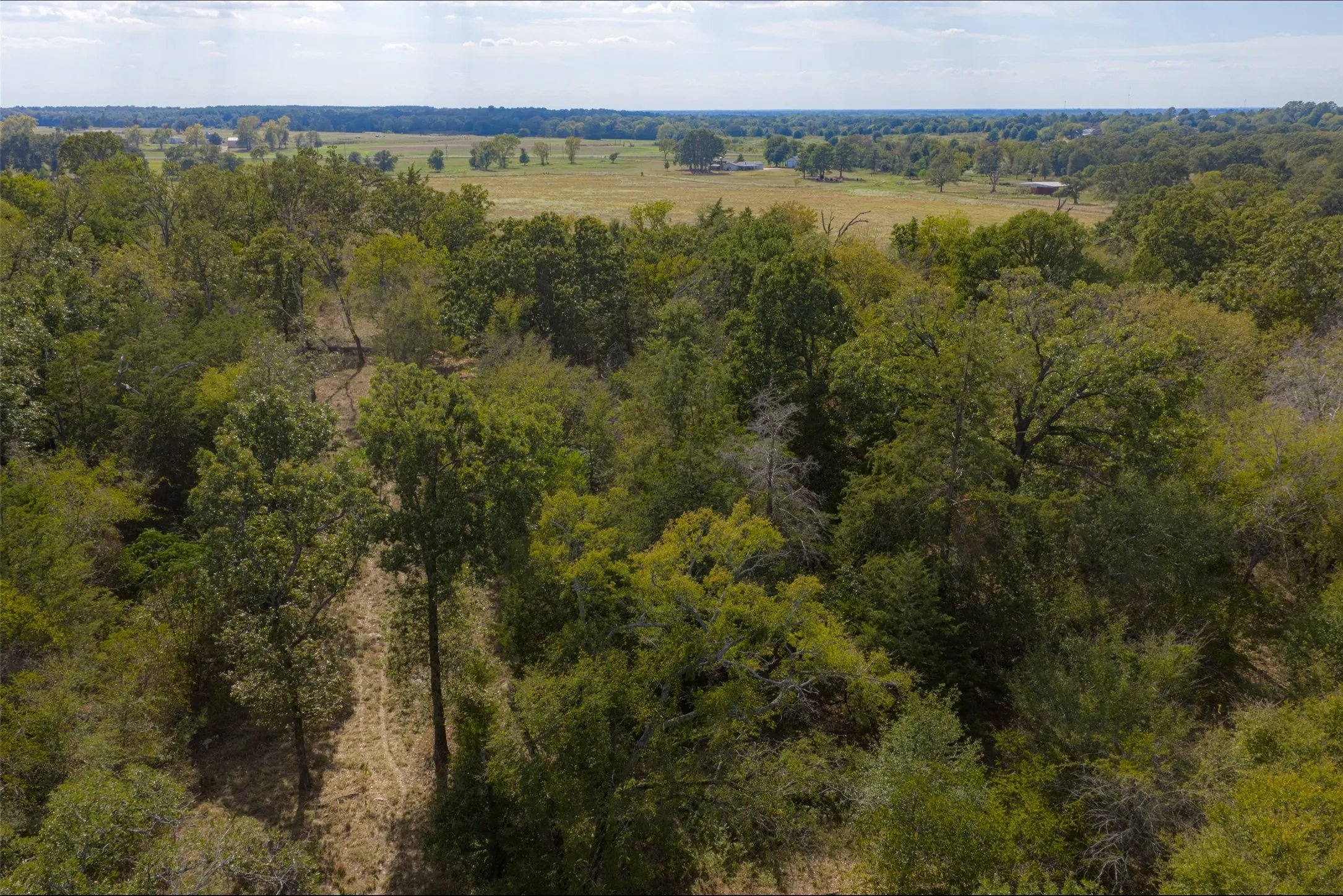 Unimproved Land For Sale in Van Zandt County , NW VZ County Road 3409, Wills Point, Texas 75169, 0, 0, Garage spaces, 0 Sqft, built in 0, mls#21406803, Real Estate Agent in Wills Point, Homes For Sale in Van Zandt county, Homes For Sale in Wills Point, Realtor in Wills Point Texas, Real Estate Brokerage Independent Realty Texas, Luminita Cordes Realtor