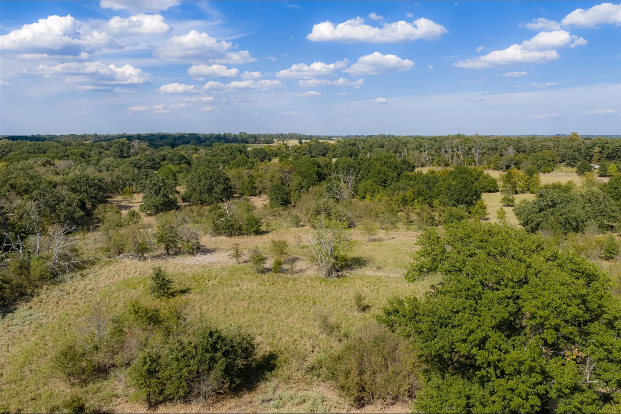 Unimproved Land For Sale in Van Zandt County , NW VZ County Road 3409, Wills Point, Texas 75169, 0, 0, Garage spaces, 0 Sqft, built in 0, mls#21406803, Real Estate Agent in Wills Point, Homes For Sale in Van Zandt county, Homes For Sale in Wills Point, Realtor in Wills Point Texas, Real Estate Brokerage Independent Realty Texas, Luminita Cordes Realtor