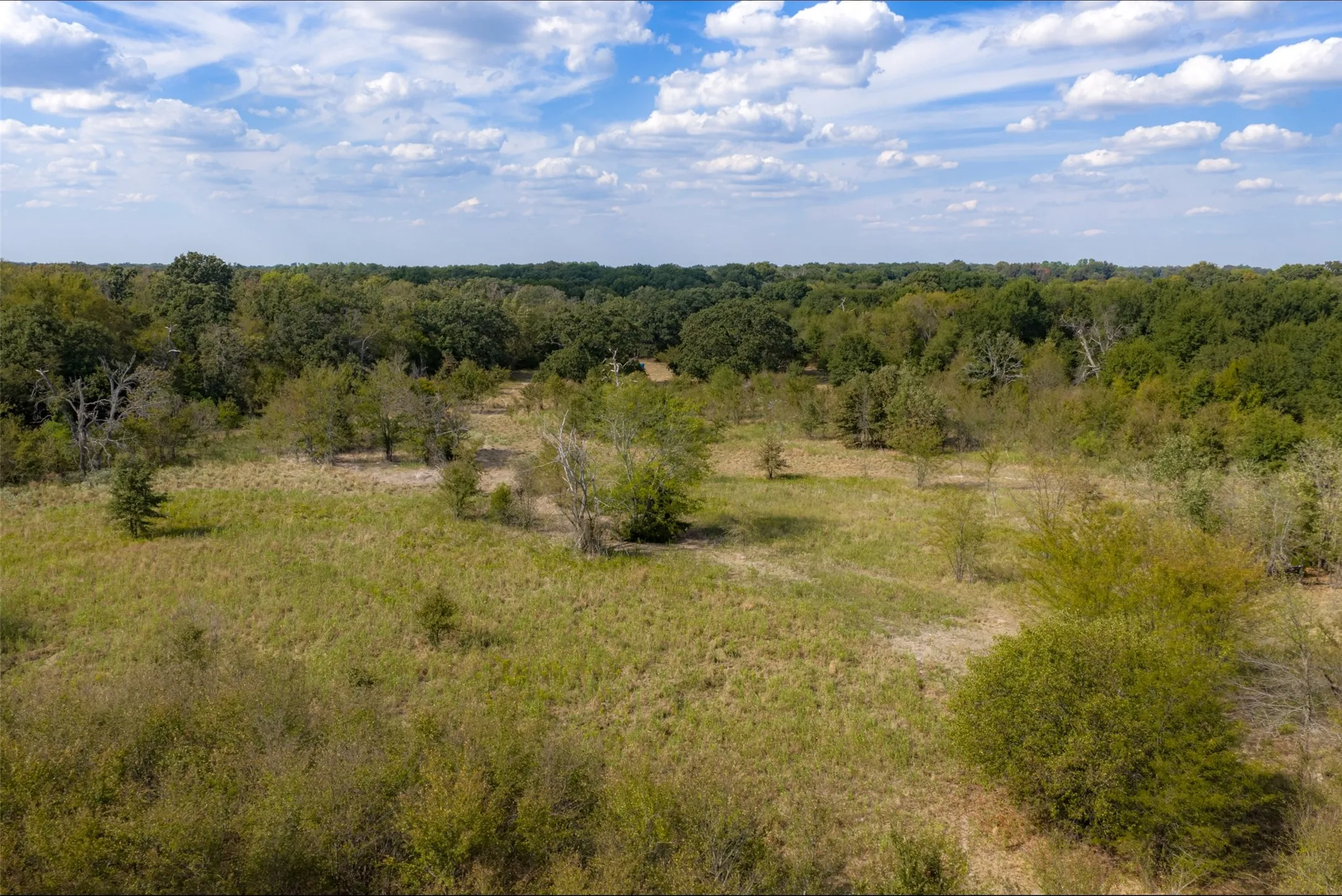 Unimproved Land For Sale in Van Zandt County , NW VZ County Road 3409, Wills Point, Texas 75169, 0, 0, Garage spaces, 0 Sqft, built in 0, mls#21406803, Real Estate Agent in Wills Point, Homes For Sale in Van Zandt county, Homes For Sale in Wills Point, Realtor in Wills Point Texas, Real Estate Brokerage Independent Realty Texas, Luminita Cordes Realtor