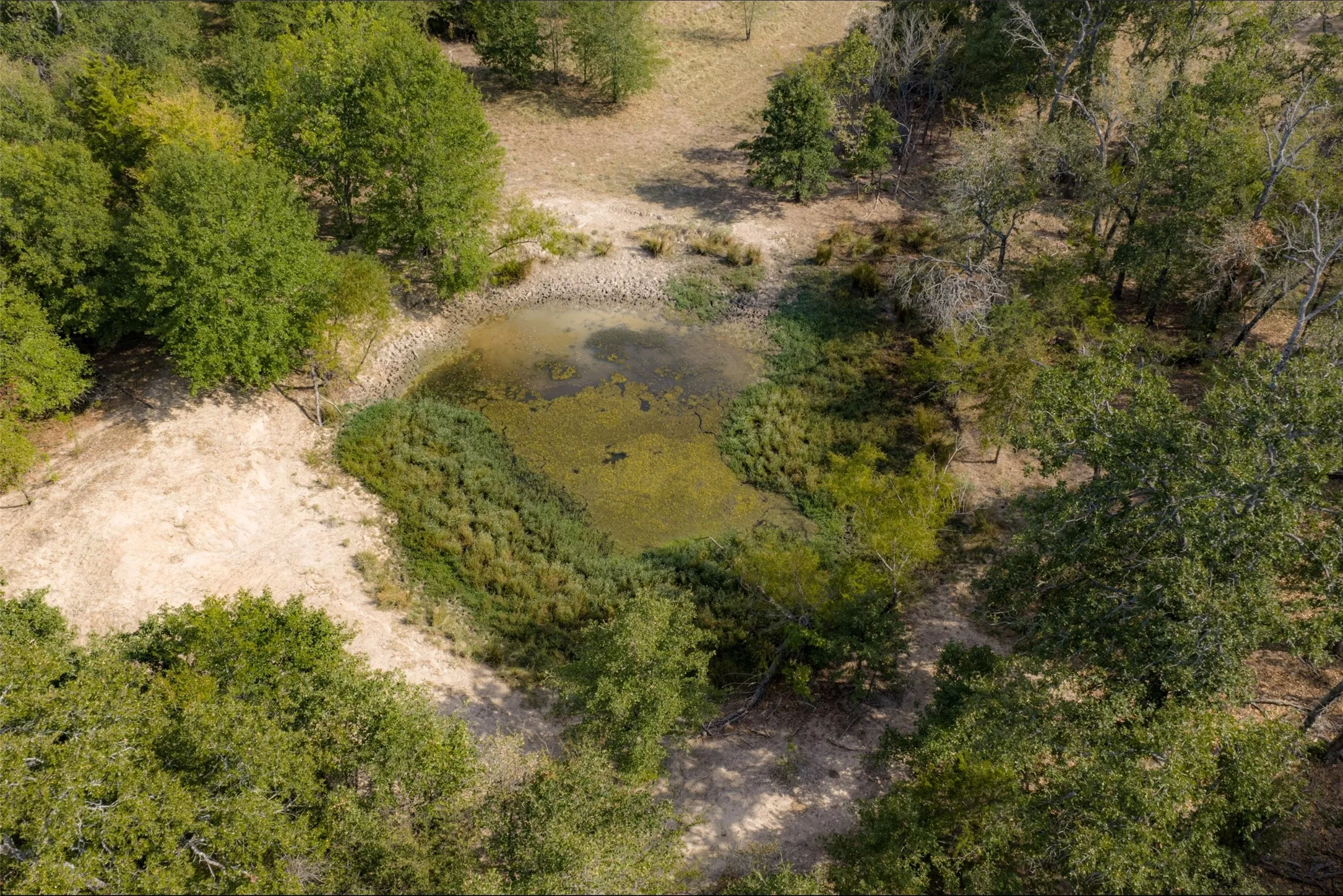 Unimproved Land For Sale in Van Zandt County , NW VZ County Road 3409, Wills Point, Texas 75169, 0, 0, Garage spaces, 0 Sqft, built in 0, mls#21406803, Real Estate Agent in Wills Point, Homes For Sale in Van Zandt county, Homes For Sale in Wills Point, Realtor in Wills Point Texas, Real Estate Brokerage Independent Realty Texas, Luminita Cordes Realtor