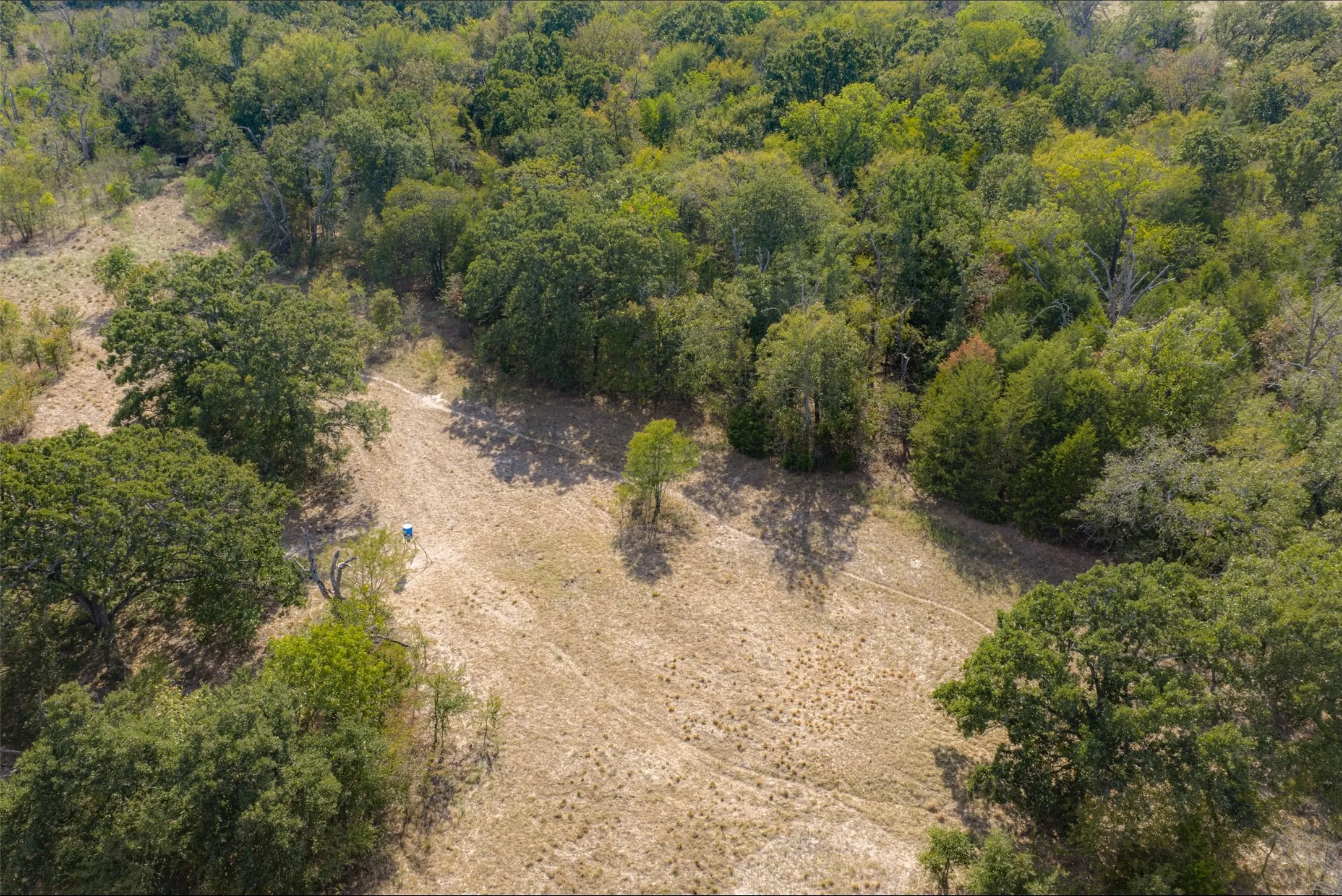 Unimproved Land For Sale in Van Zandt County , NW VZ County Road 3409, Wills Point, Texas 75169, 0, 0, Garage spaces, 0 Sqft, built in 0, mls#21406803, Real Estate Agent in Wills Point, Homes For Sale in Van Zandt county, Homes For Sale in Wills Point, Realtor in Wills Point Texas, Real Estate Brokerage Independent Realty Texas, Luminita Cordes Realtor