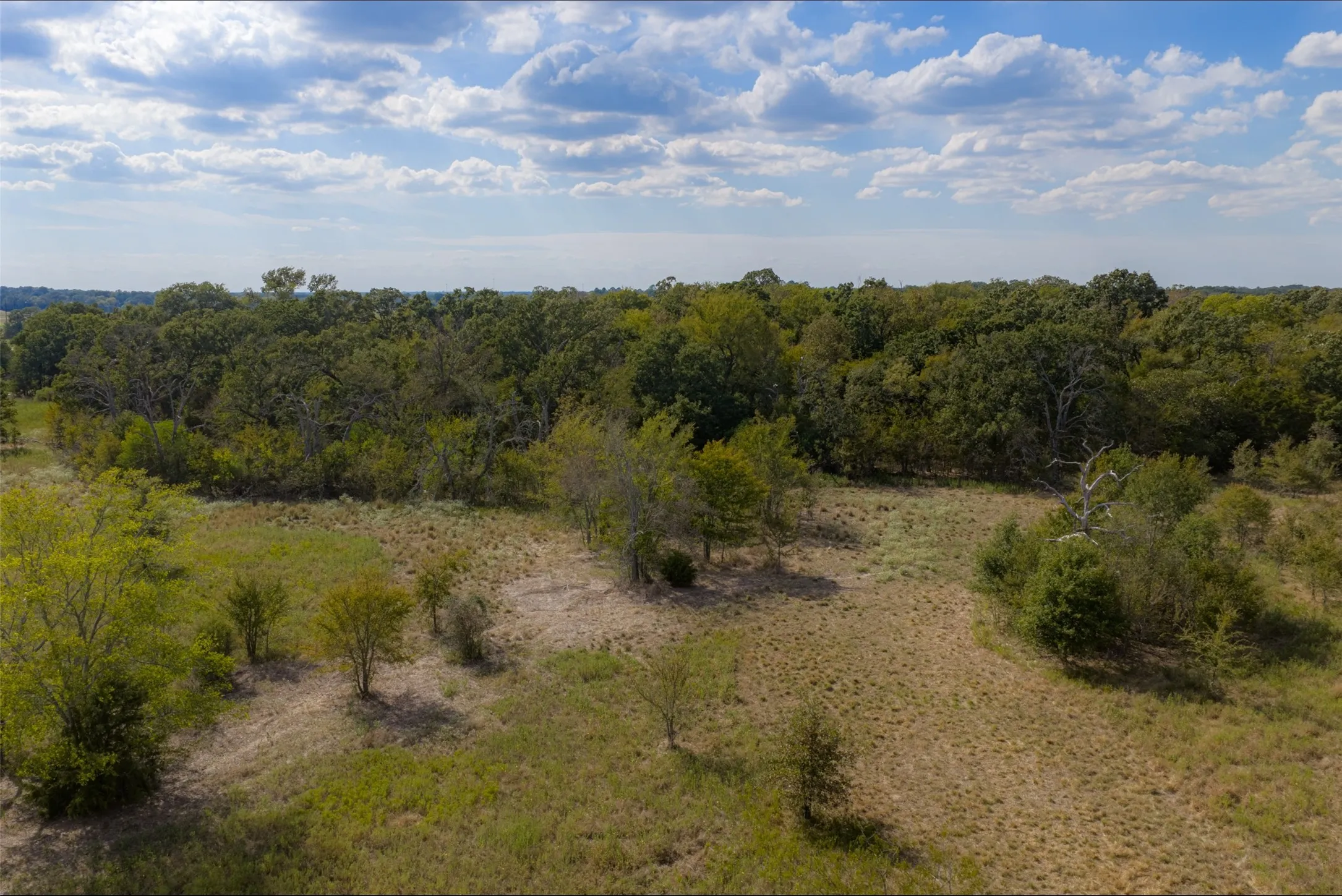 Unimproved Land For Sale in Van Zandt County , NW VZ County Road 3409, Wills Point, Texas 75169, 0, 0, Garage spaces, 0 Sqft, built in 0, mls#21406803, Real Estate Agent in Wills Point, Homes For Sale in Van Zandt county, Homes For Sale in Wills Point, Realtor in Wills Point Texas, Real Estate Brokerage Independent Realty Texas, Luminita Cordes Realtor