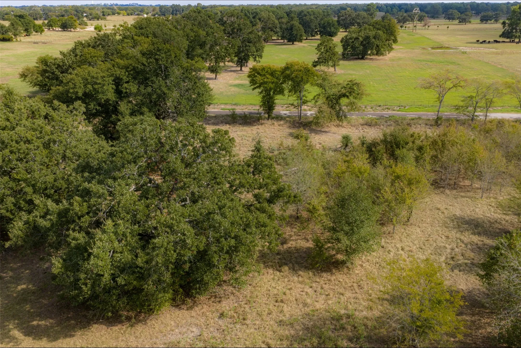 Unimproved Land For Sale in Van Zandt County , NW VZ County Road 3409, Wills Point, Texas 75169, 0, 0, Garage spaces, 0 Sqft, built in 0, mls#21406803, Real Estate Agent in Wills Point, Homes For Sale in Van Zandt county, Homes For Sale in Wills Point, Realtor in Wills Point Texas, Real Estate Brokerage Independent Realty Texas, Luminita Cordes Realtor