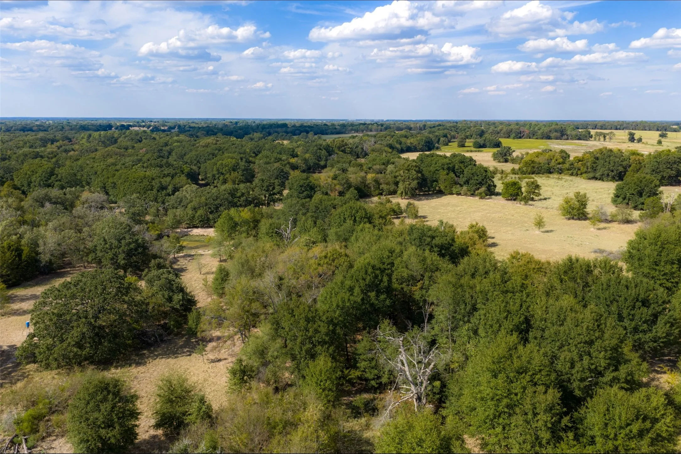 Unimproved Land For Sale in Van Zandt County , NW VZ County Road 3409, Wills Point, Texas 75169, 0, 0, Garage spaces, 0 Sqft, built in 0, mls#21406803, Real Estate Agent in Wills Point, Homes For Sale in Van Zandt county, Homes For Sale in Wills Point, Realtor in Wills Point Texas, Real Estate Brokerage Independent Realty Texas, Luminita Cordes Realtor