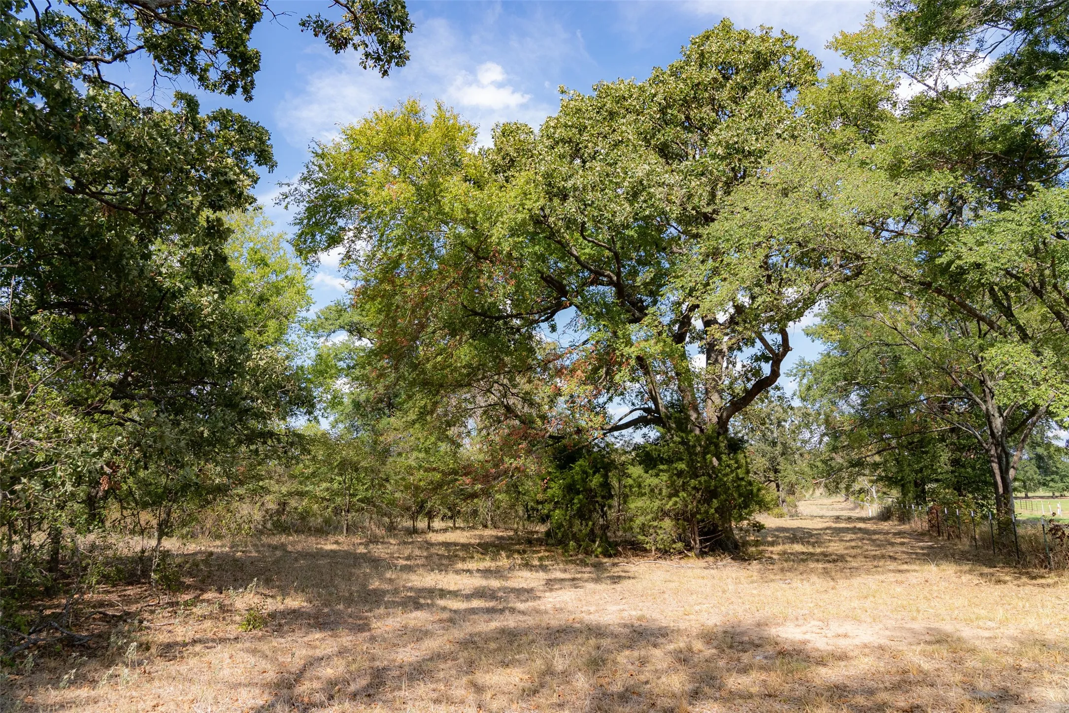Unimproved Land For Sale in Van Zandt County , NW VZ County Road 3409, Wills Point, Texas 75169, 0, 0, Garage spaces, 0 Sqft, built in 0, mls#21406803, Real Estate Agent in Wills Point, Homes For Sale in Van Zandt county, Homes For Sale in Wills Point, Realtor in Wills Point Texas, Real Estate Brokerage Independent Realty Texas, Luminita Cordes Realtor