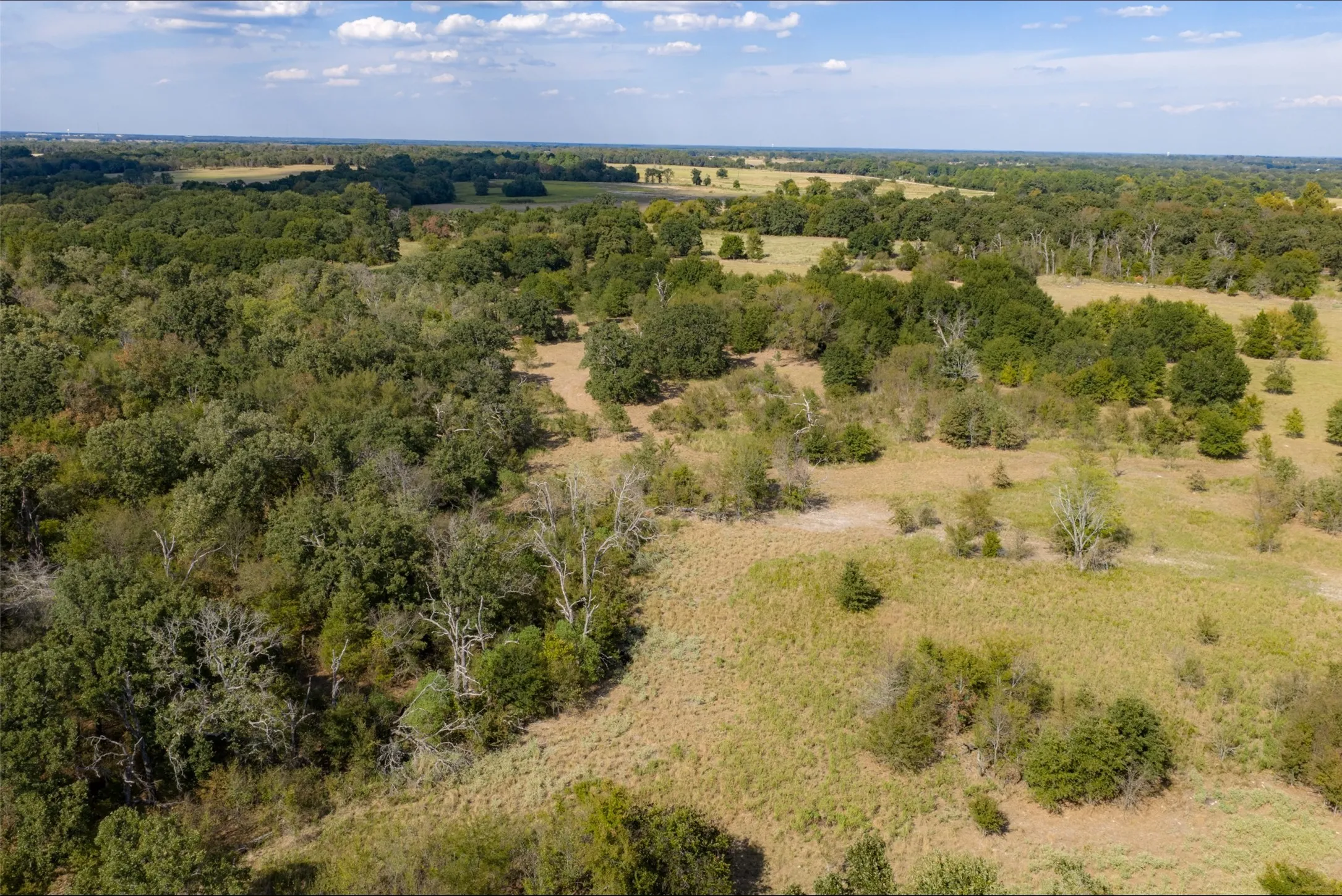 Unimproved Land For Sale in Van Zandt County , NW VZ County Road 3409, Wills Point, Texas 75169, 0, 0, Garage spaces, 0 Sqft, built in 0, mls#21406803, Real Estate Agent in Wills Point, Homes For Sale in Van Zandt county, Homes For Sale in Wills Point, Realtor in Wills Point Texas, Real Estate Brokerage Independent Realty Texas, Luminita Cordes Realtor