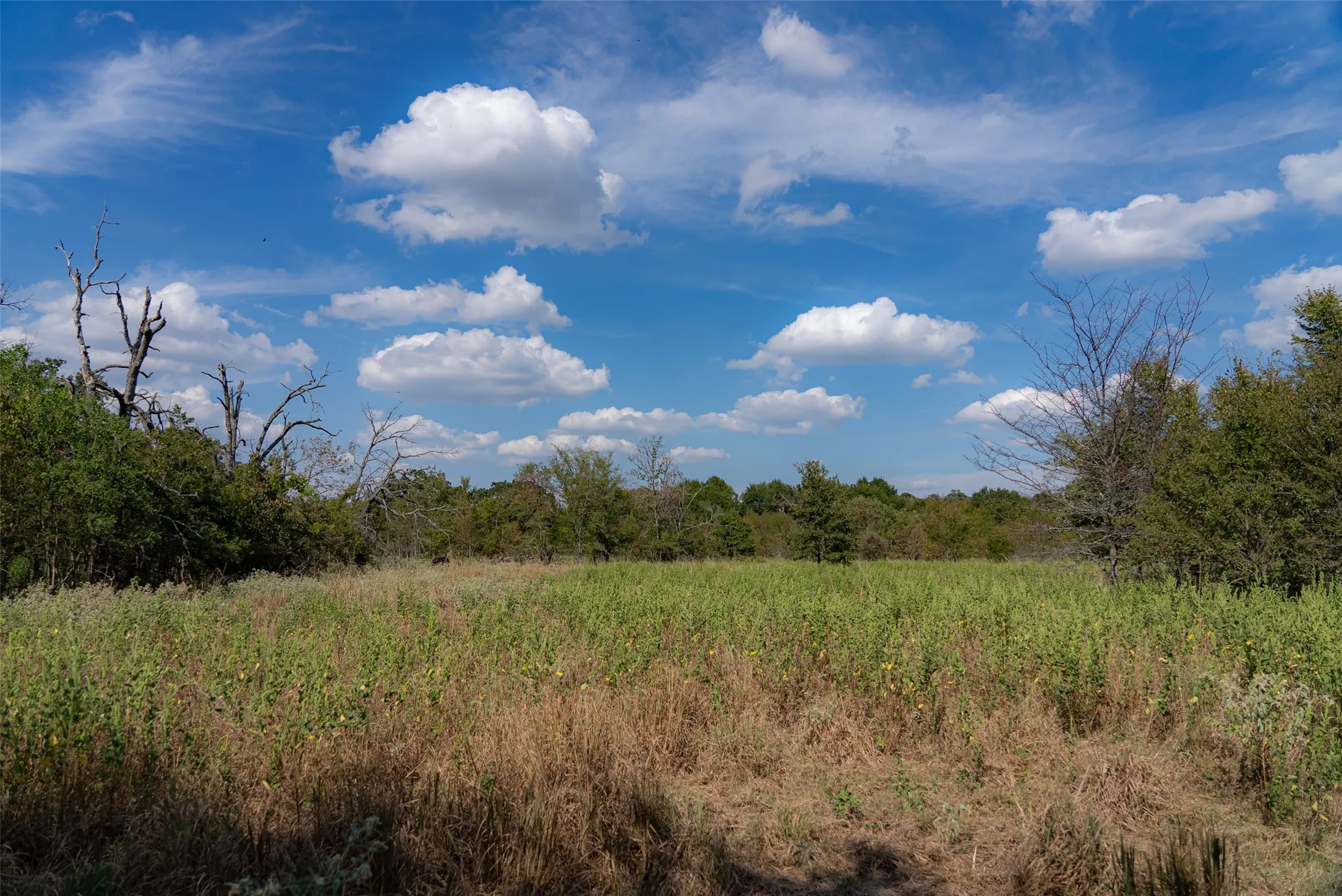 Unimproved Land For Sale in Van Zandt County , NW VZ County Road 3409, Wills Point, Texas 75169, 0, 0, Garage spaces, 0 Sqft, built in 0, mls#21406803, Real Estate Agent in Wills Point, Homes For Sale in Van Zandt county, Homes For Sale in Wills Point, Realtor in Wills Point Texas, Real Estate Brokerage Independent Realty Texas, Luminita Cordes Realtor