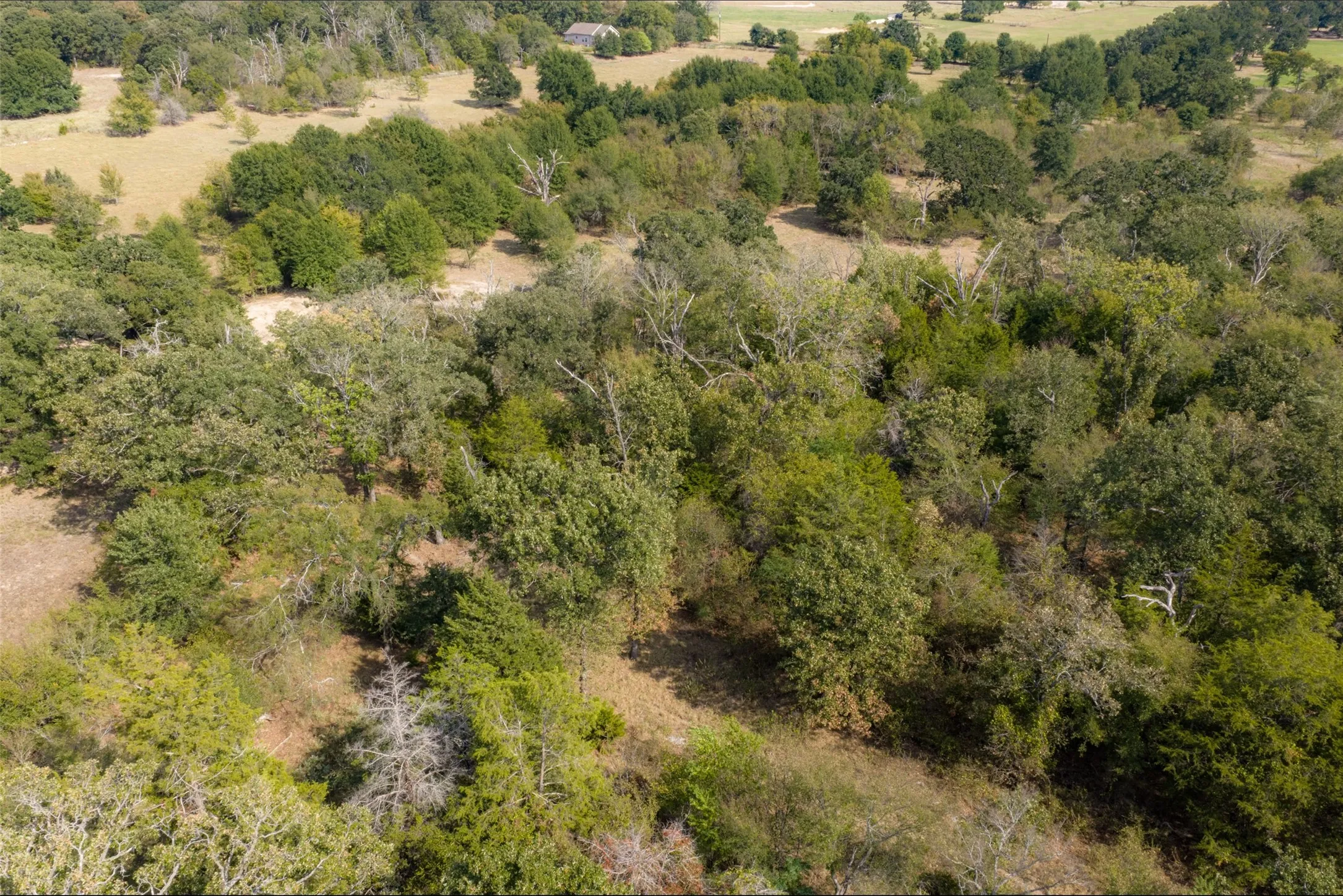Unimproved Land For Sale in Van Zandt County , NW VZ County Road 3409, Wills Point, Texas 75169, 0, 0, Garage spaces, 0 Sqft, built in 0, mls#21406803, Real Estate Agent in Wills Point, Homes For Sale in Van Zandt county, Homes For Sale in Wills Point, Realtor in Wills Point Texas, Real Estate Brokerage Independent Realty Texas, Luminita Cordes Realtor