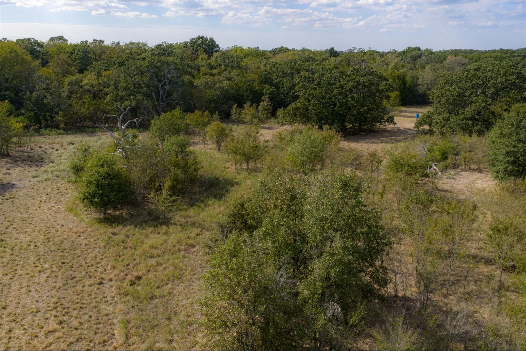Unimproved Land For Sale in Van Zandt County , NW VZ County Road 3409, Wills Point, Texas 75169, 0, 0, Garage spaces, 0 Sqft, built in 0, mls#21406803, Real Estate Agent in Wills Point, Homes For Sale in Van Zandt county, Homes For Sale in Wills Point, Realtor in Wills Point Texas, Real Estate Brokerage Independent Realty Texas, Luminita Cordes Realtor