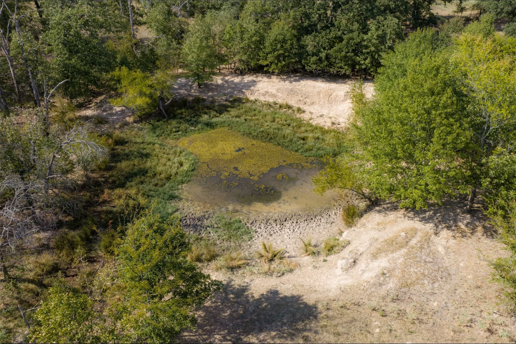 Unimproved Land For Sale in Van Zandt County , NW VZ County Road 3409, Wills Point, Texas 75169, 0, 0, Garage spaces, 0 Sqft, built in 0, mls#21406803, Real Estate Agent in Wills Point, Homes For Sale in Van Zandt county, Homes For Sale in Wills Point, Realtor in Wills Point Texas, Real Estate Brokerage Independent Realty Texas, Luminita Cordes Realtor