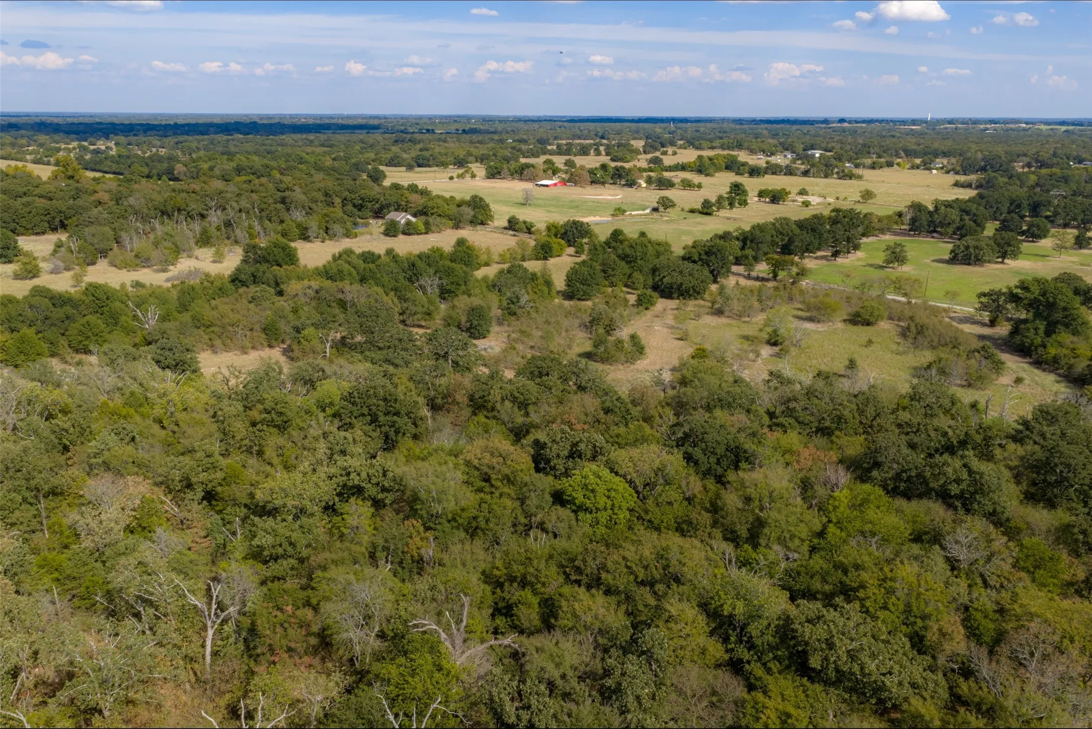 Unimproved Land For Sale in Van Zandt County , NW VZ County Road 3409, Wills Point, Texas 75169, 0, 0, Garage spaces, 0 Sqft, built in 0, mls#21406803, Real Estate Agent in Wills Point, Homes For Sale in Van Zandt county, Homes For Sale in Wills Point, Realtor in Wills Point Texas, Real Estate Brokerage Independent Realty Texas, Luminita Cordes Realtor