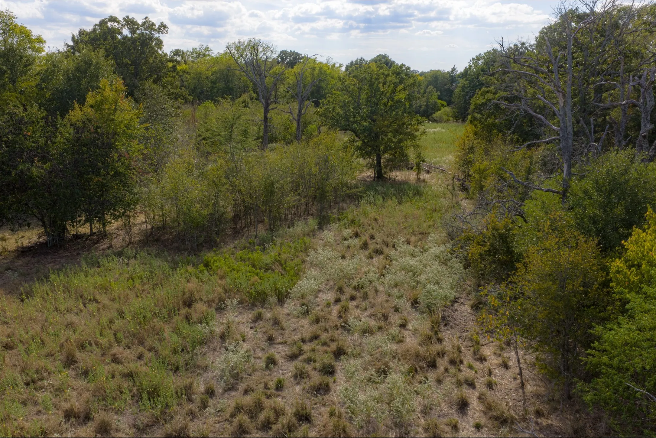 Unimproved Land For Sale in Van Zandt County , NW VZ County Road 3409, Wills Point, Texas 75169, 0, 0, Garage spaces, 0 Sqft, built in 0, mls#21406803, Real Estate Agent in Wills Point, Homes For Sale in Van Zandt county, Homes For Sale in Wills Point, Realtor in Wills Point Texas, Real Estate Brokerage Independent Realty Texas, Luminita Cordes Realtor