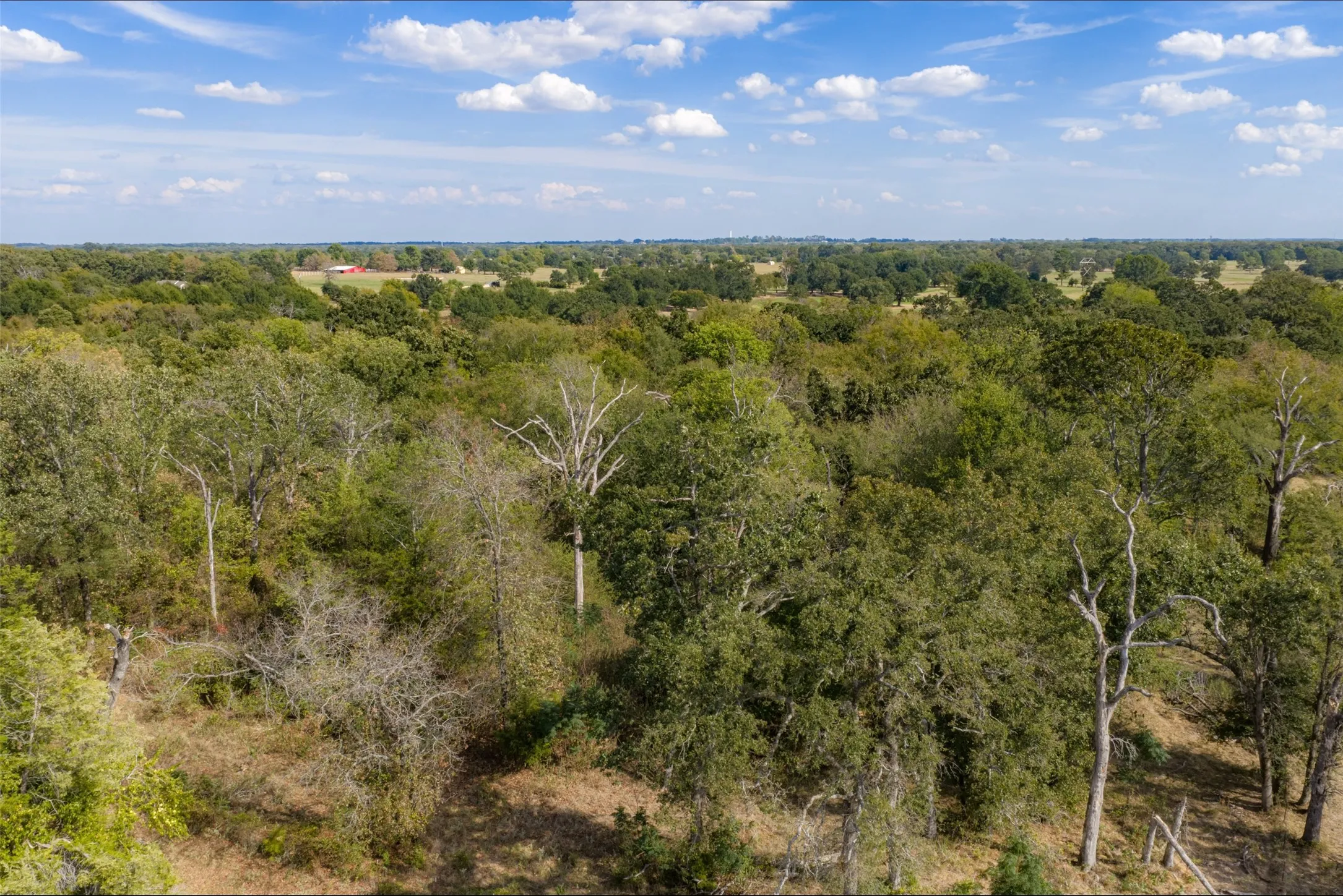 Unimproved Land For Sale in Van Zandt County , NW VZ County Road 3409, Wills Point, Texas 75169, 0, 0, Garage spaces, 0 Sqft, built in 0, mls#21406803, Real Estate Agent in Wills Point, Homes For Sale in Van Zandt county, Homes For Sale in Wills Point, Realtor in Wills Point Texas, Real Estate Brokerage Independent Realty Texas, Luminita Cordes Realtor