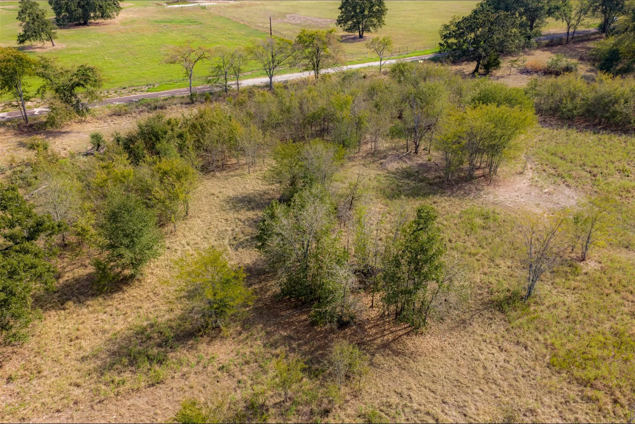 Unimproved Land For Sale in Van Zandt County , NW VZ County Road 3409, Wills Point, Texas 75169, 0, 0, Garage spaces, 0 Sqft, built in 0, mls#21406803, Real Estate Agent in Wills Point, Homes For Sale in Van Zandt county, Homes For Sale in Wills Point, Realtor in Wills Point Texas, Real Estate Brokerage Independent Realty Texas, Luminita Cordes Realtor