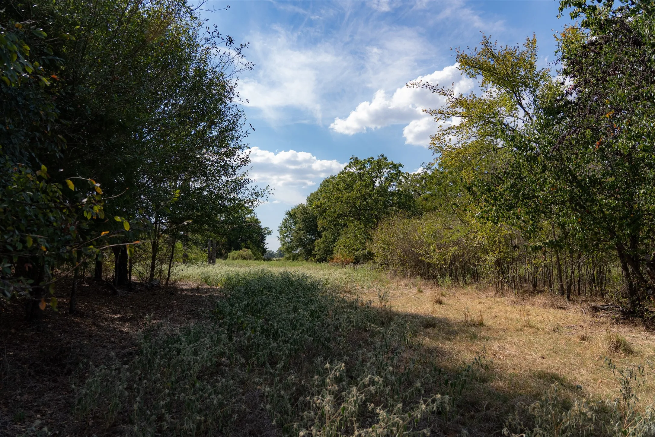 Unimproved Land For Sale in Van Zandt County , NW VZ County Road 3409, Wills Point, Texas 75169, 0, 0, Garage spaces, 0 Sqft, built in 0, mls#21406803, Real Estate Agent in Wills Point, Homes For Sale in Van Zandt county, Homes For Sale in Wills Point, Realtor in Wills Point Texas, Real Estate Brokerage Independent Realty Texas, Luminita Cordes Realtor