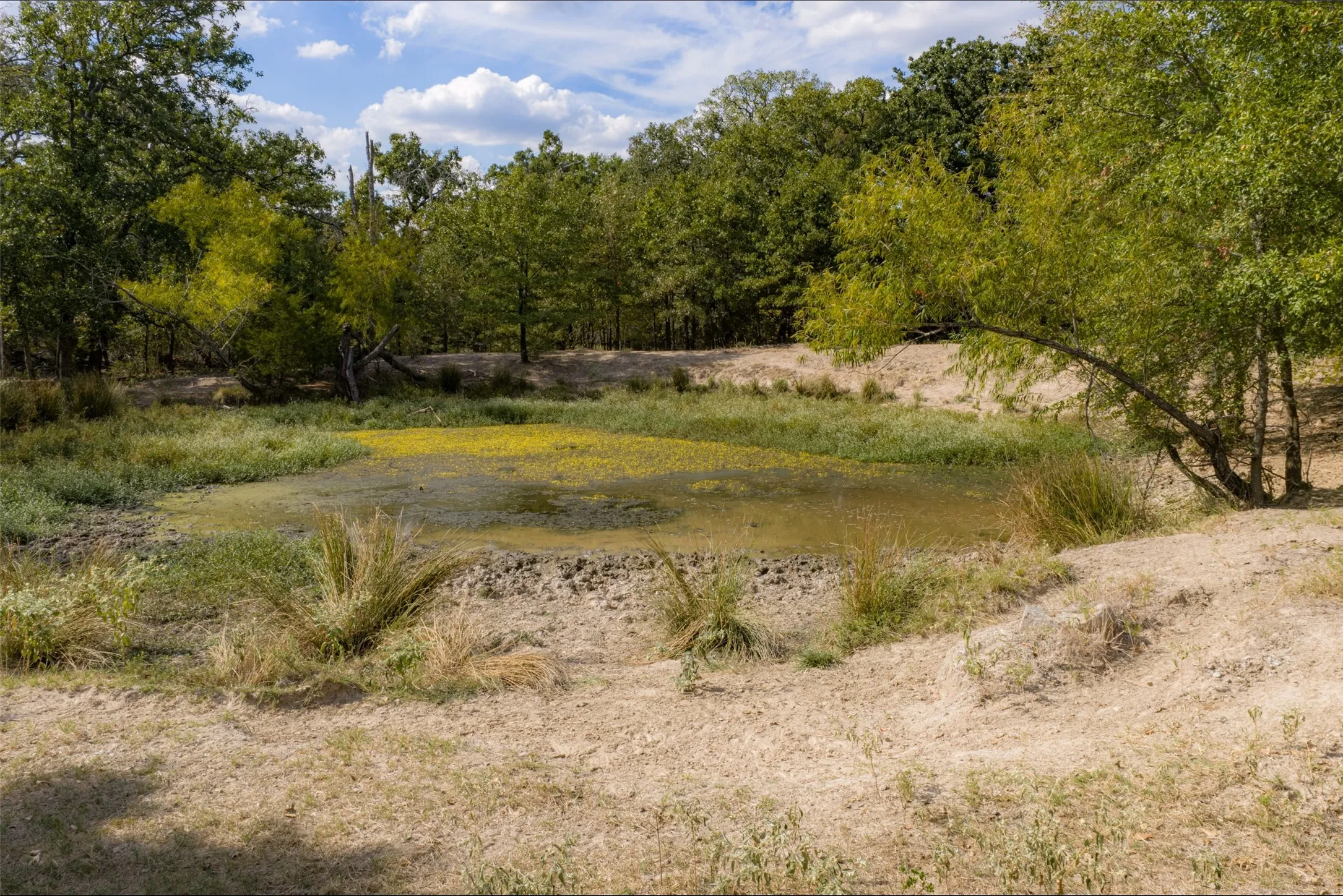 Unimproved Land For Sale in Van Zandt County , NW VZ County Road 3409, Wills Point, Texas 75169, 0, 0, Garage spaces, 0 Sqft, built in 0, mls#21406803, Real Estate Agent in Wills Point, Homes For Sale in Van Zandt county, Homes For Sale in Wills Point, Realtor in Wills Point Texas, Real Estate Brokerage Independent Realty Texas, Luminita Cordes Realtor