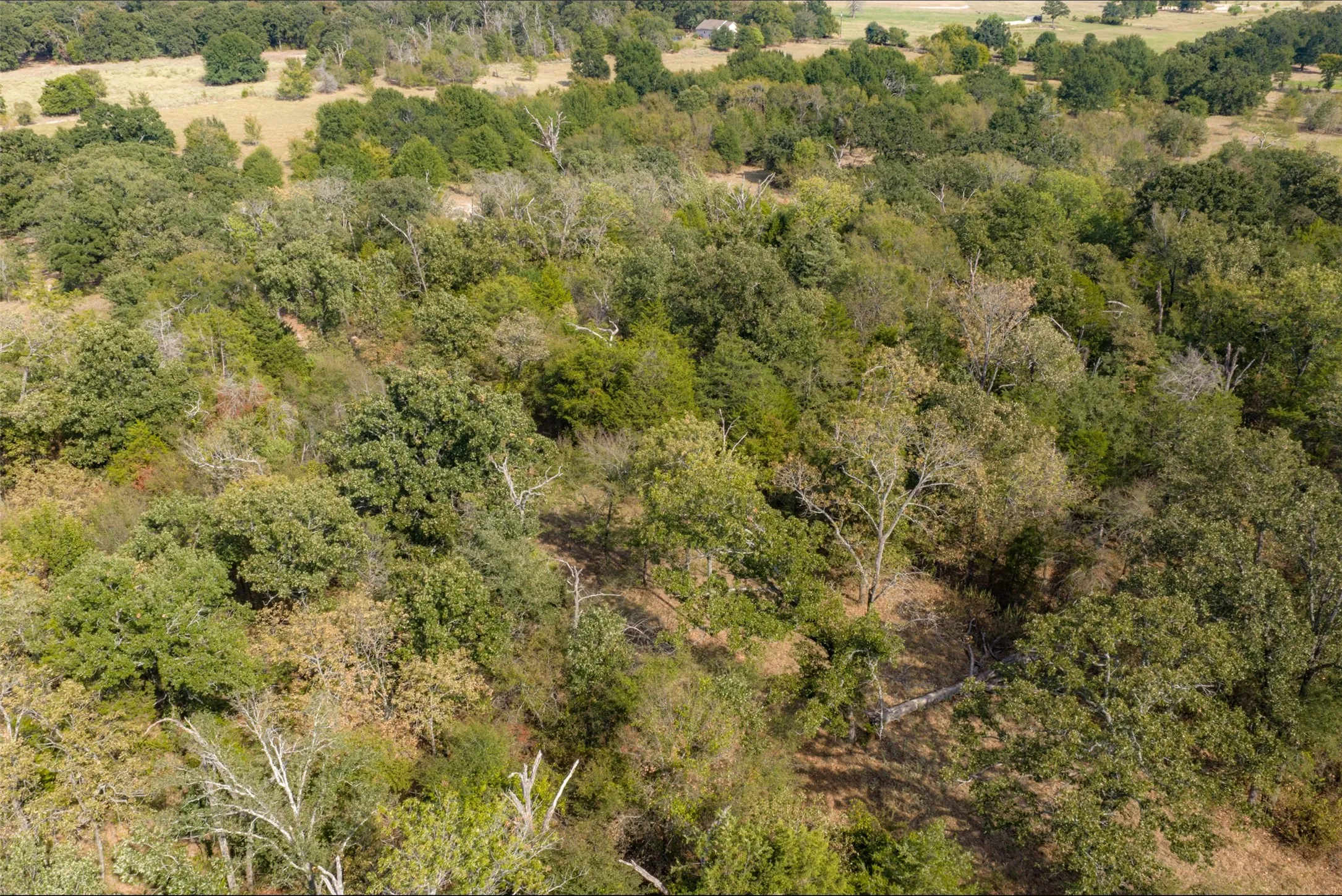 Unimproved Land For Sale in Van Zandt County , NW VZ County Road 3409, Wills Point, Texas 75169, 0, 0, Garage spaces, 0 Sqft, built in 0, mls#21406803, Real Estate Agent in Wills Point, Homes For Sale in Van Zandt county, Homes For Sale in Wills Point, Realtor in Wills Point Texas, Real Estate Brokerage Independent Realty Texas, Luminita Cordes Realtor