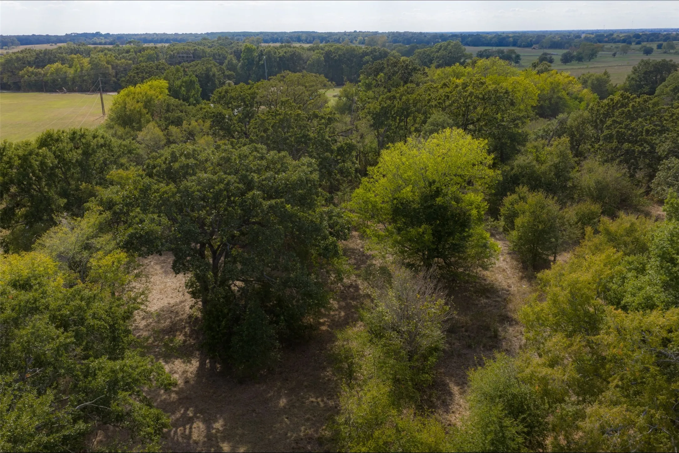 Unimproved Land For Sale in Van Zandt County , NW VZ County Road 3409, Wills Point, Texas 75169, 0, 0, Garage spaces, 0 Sqft, built in 0, mls#21406803, Real Estate Agent in Wills Point, Homes For Sale in Van Zandt county, Homes For Sale in Wills Point, Realtor in Wills Point Texas, Real Estate Brokerage Independent Realty Texas, Luminita Cordes Realtor