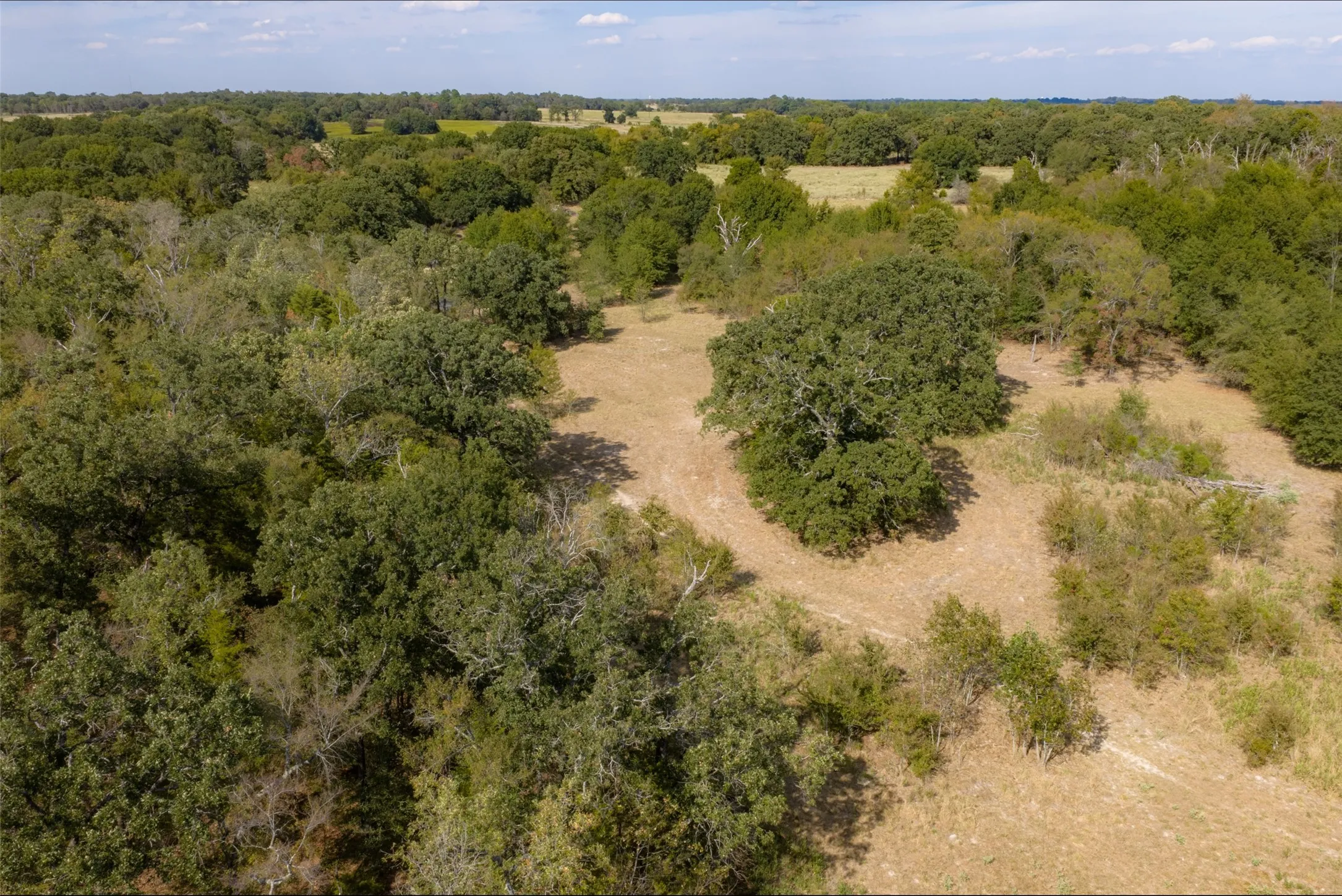 Unimproved Land For Sale in Van Zandt County , NW VZ County Road 3409, Wills Point, Texas 75169, 0, 0, Garage spaces, 0 Sqft, built in 0, mls#21406803, Real Estate Agent in Wills Point, Homes For Sale in Van Zandt county, Homes For Sale in Wills Point, Realtor in Wills Point Texas, Real Estate Brokerage Independent Realty Texas, Luminita Cordes Realtor