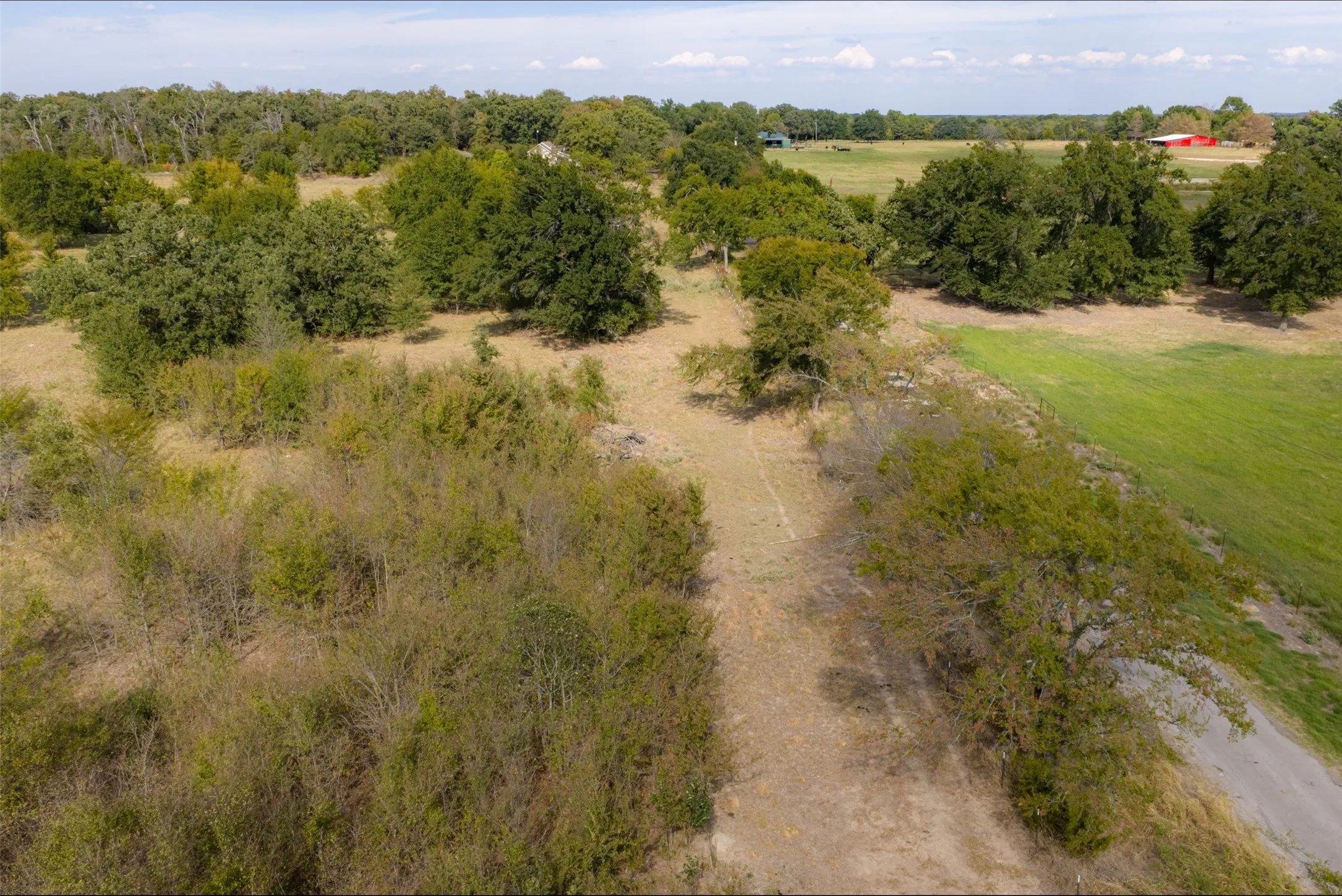 Unimproved Land For Sale in Van Zandt County , NW VZ County Road 3409, Wills Point, Texas 75169, 0, 0, Garage spaces, 0 Sqft, built in 0, mls#21406803, Real Estate Agent in Wills Point, Homes For Sale in Van Zandt county, Homes For Sale in Wills Point, Realtor in Wills Point Texas, Real Estate Brokerage Independent Realty Texas, Luminita Cordes Realtor