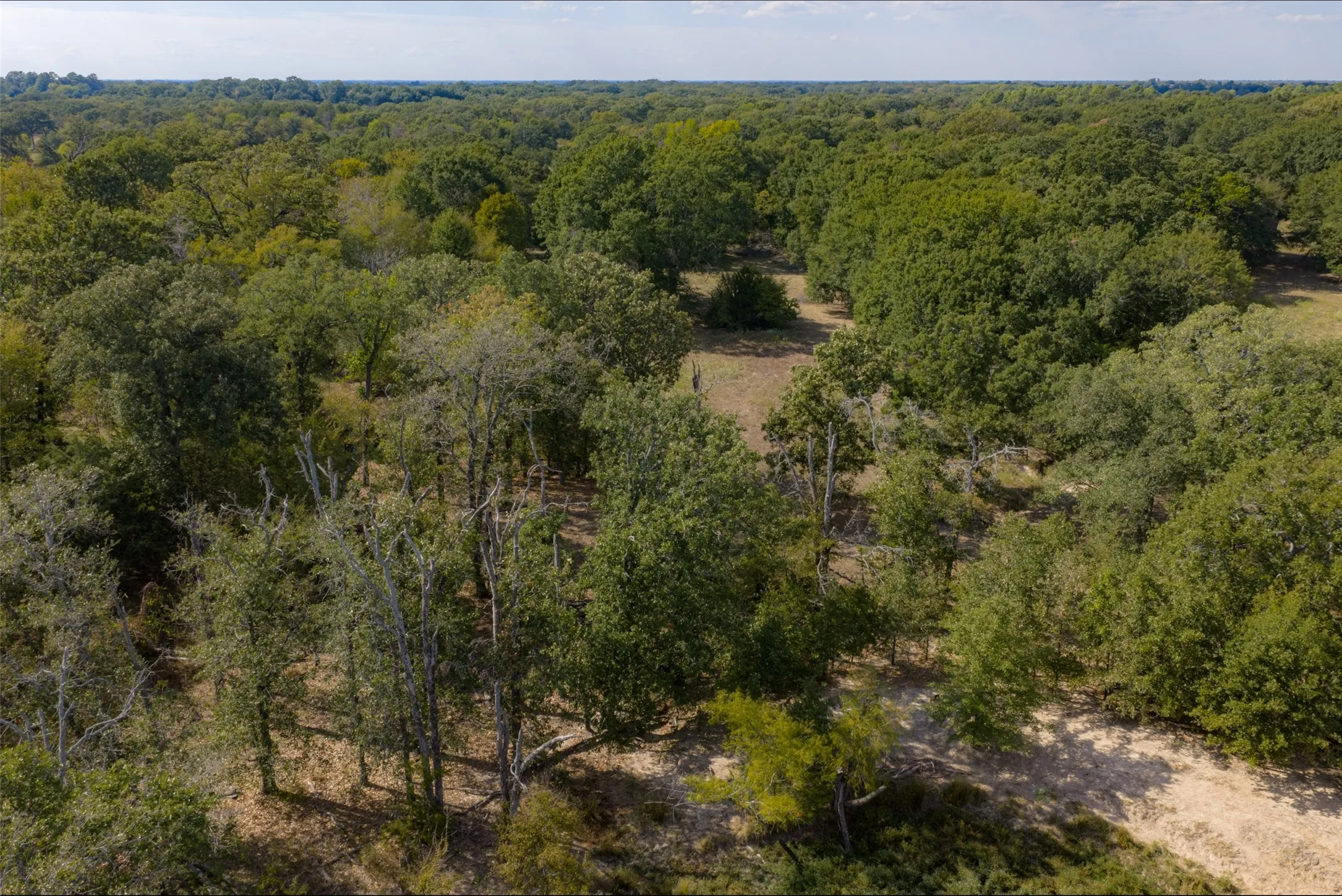 Unimproved Land For Sale in Van Zandt County , NW VZ County Road 3409, Wills Point, Texas 75169, 0, 0, Garage spaces, 0 Sqft, built in 0, mls#21406803, Real Estate Agent in Wills Point, Homes For Sale in Van Zandt county, Homes For Sale in Wills Point, Realtor in Wills Point Texas, Real Estate Brokerage Independent Realty Texas, Luminita Cordes Realtor