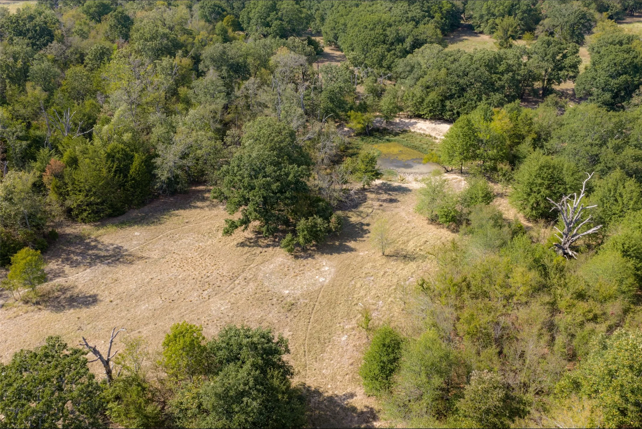 Unimproved Land For Sale in Van Zandt County , NW VZ County Road 3409, Wills Point, Texas 75169, 0, 0, Garage spaces, 0 Sqft, built in 0, mls#21406803, Real Estate Agent in Wills Point, Homes For Sale in Van Zandt county, Homes For Sale in Wills Point, Realtor in Wills Point Texas, Real Estate Brokerage Independent Realty Texas, Luminita Cordes Realtor